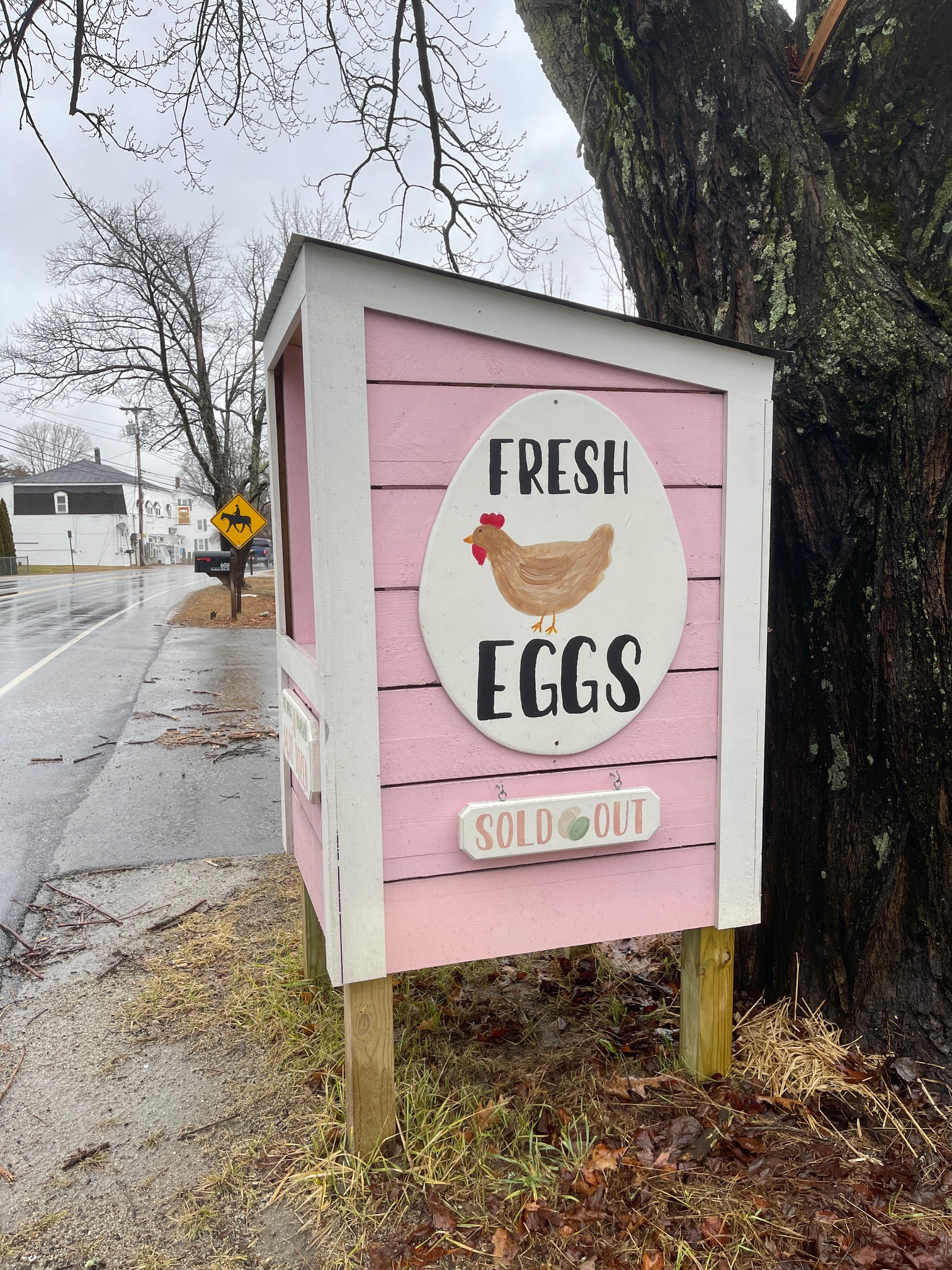 Roadside Egg Stand Ideas