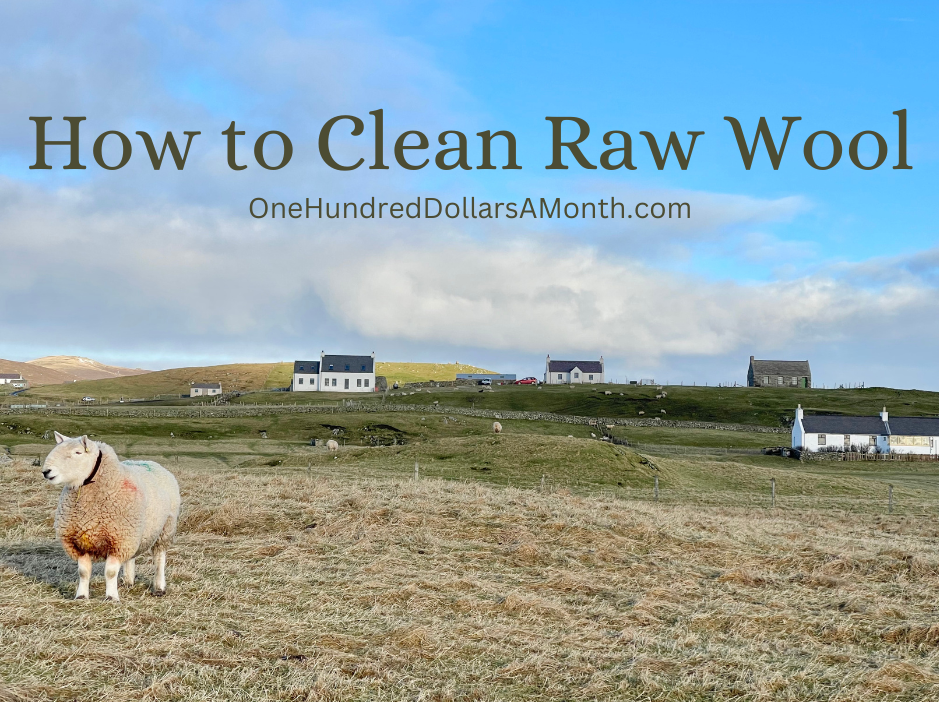 How To Clean Raw Wool