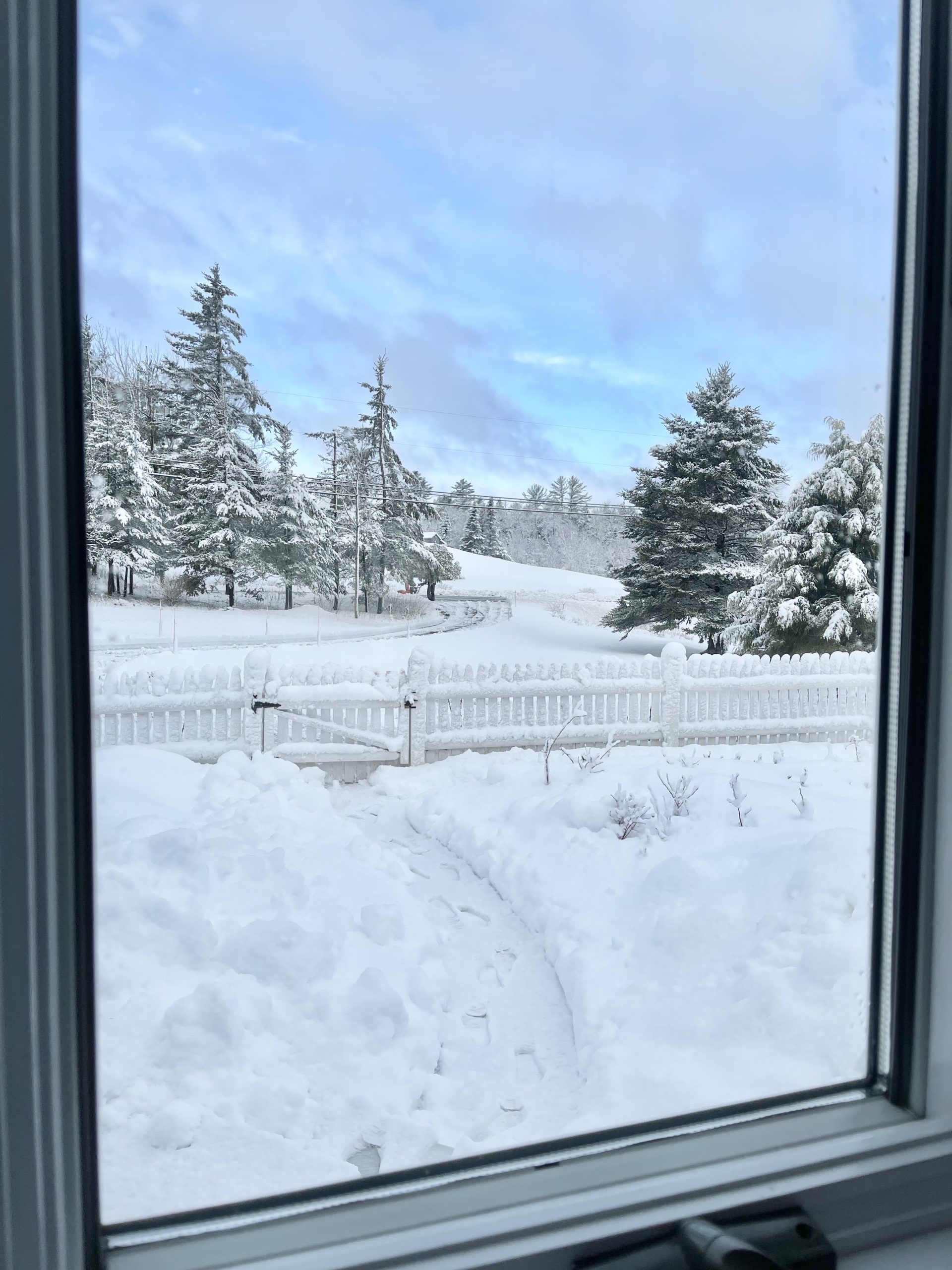 Blue Skies and Lots of Snow