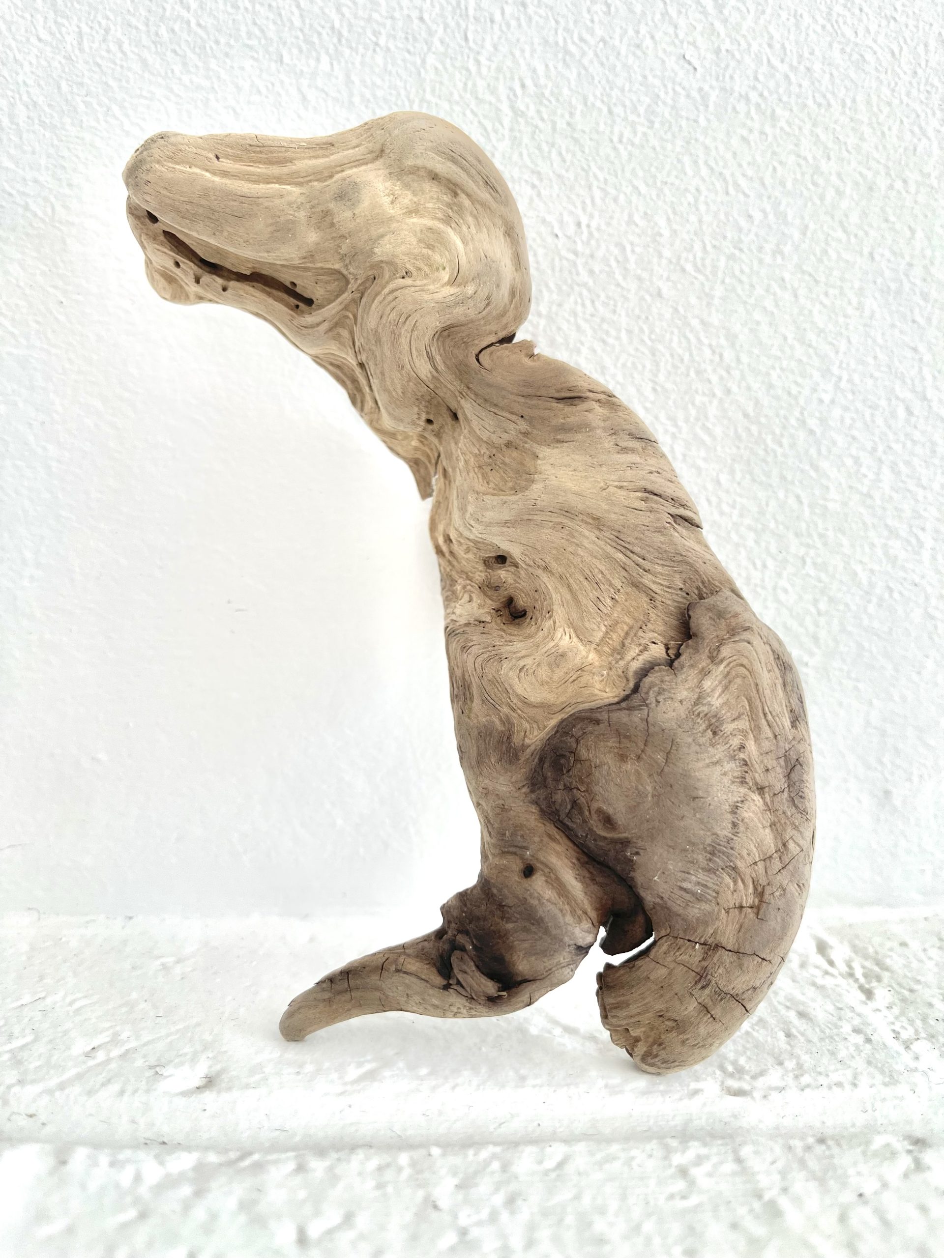Will It Sell? – Driftwood In The Shape Of A Dinosaur