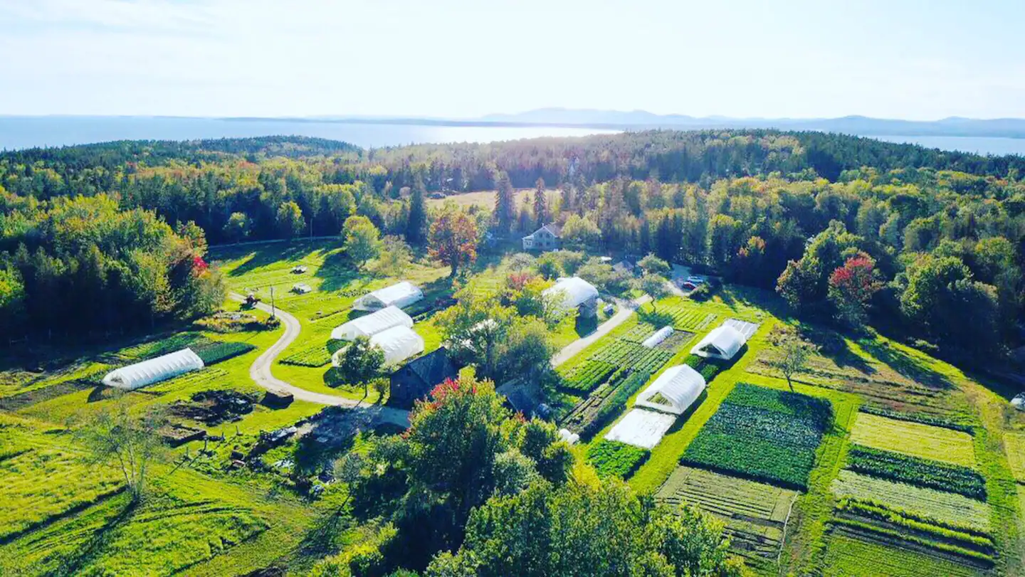 Bit’s And Bobs – Late May