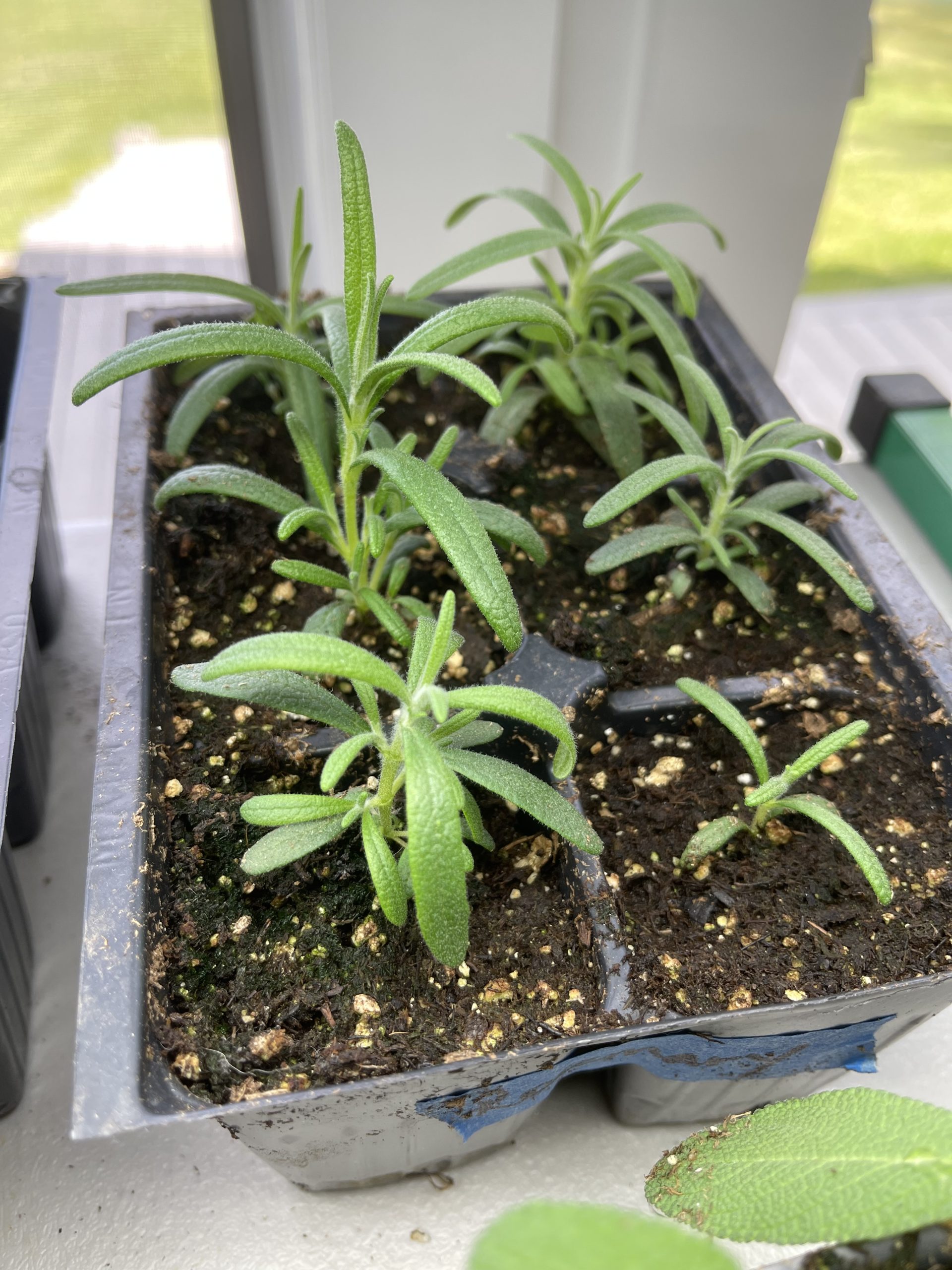 My 14 Goals For 2024 – Week 3 of 52