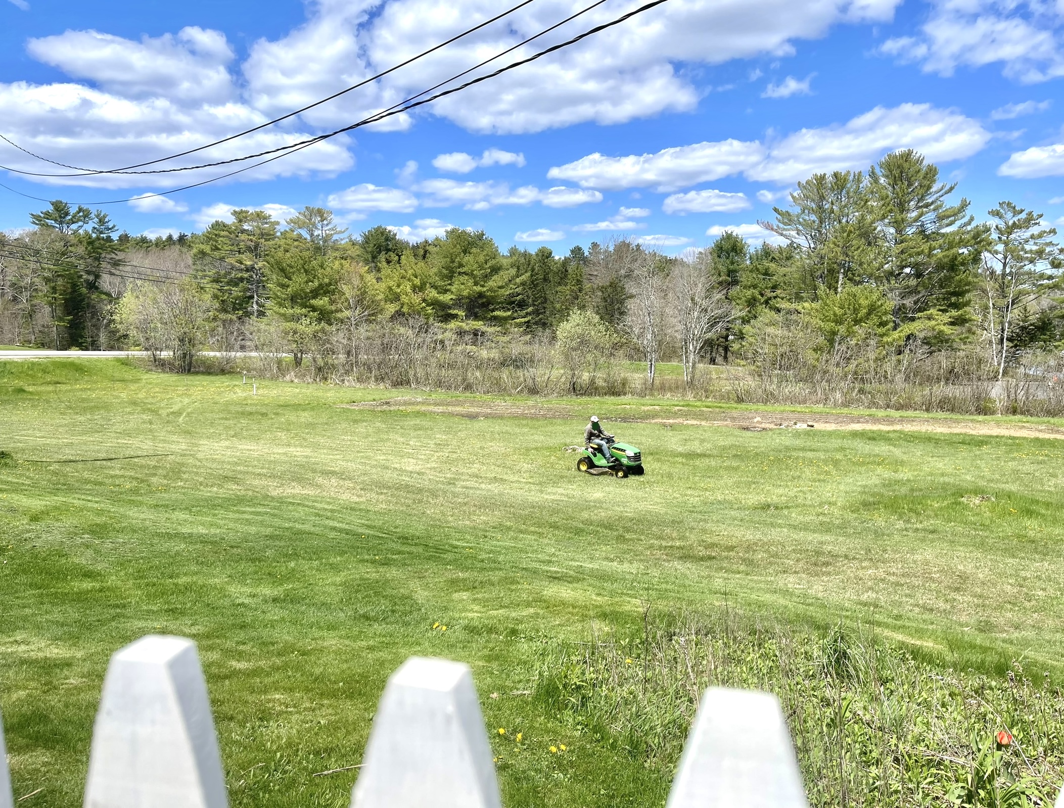 Gardening in Mid Coast Maine {Zone 6a} Early May