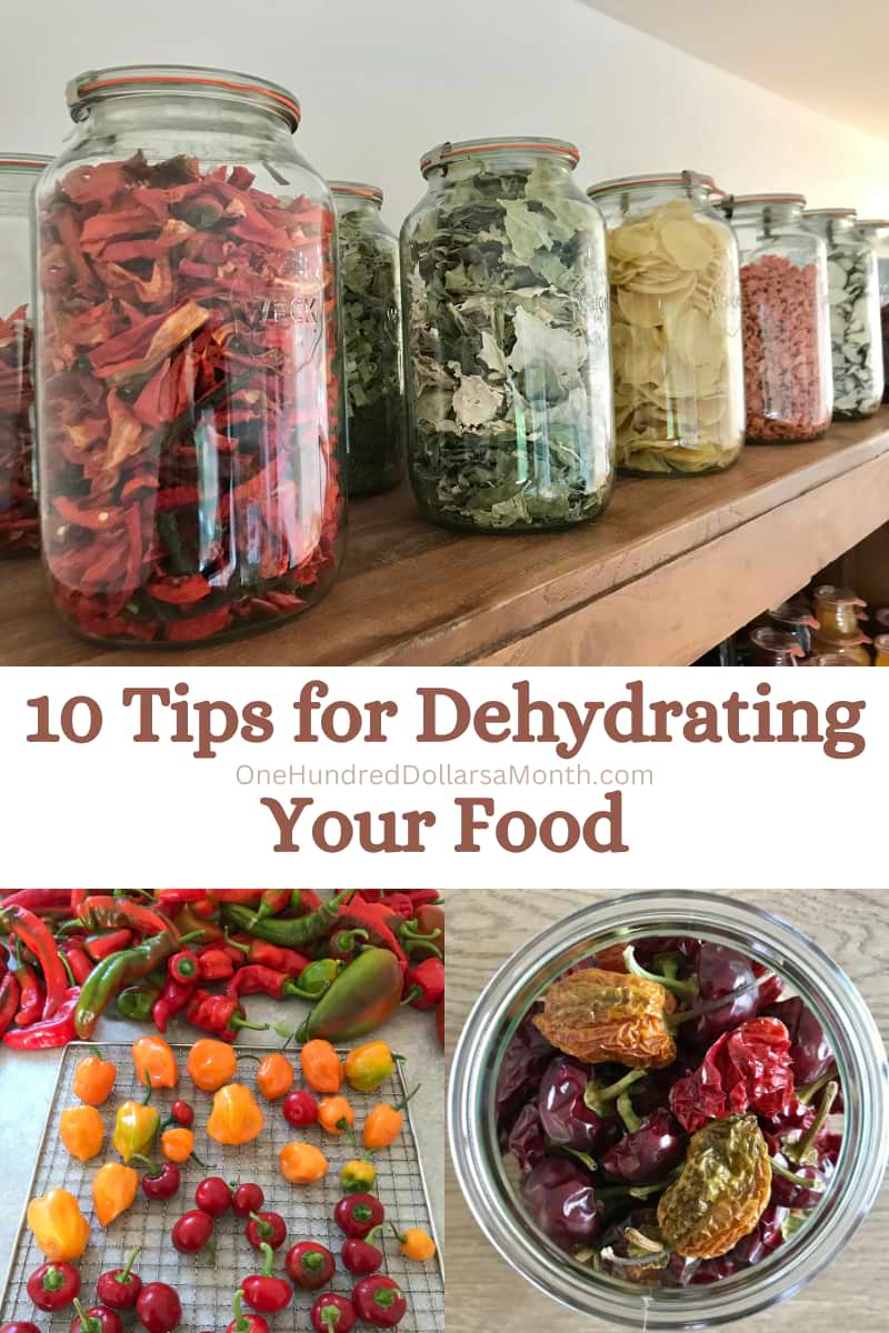 10 Tips for Dehydrating Your Food
