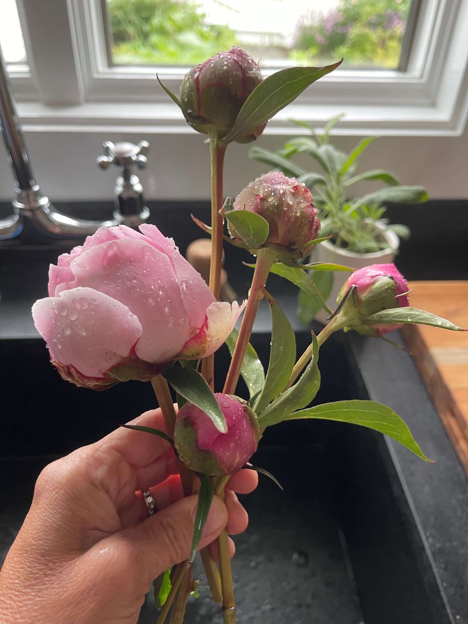 17 Things I Want To Do In 2023 – Week 24 of 52