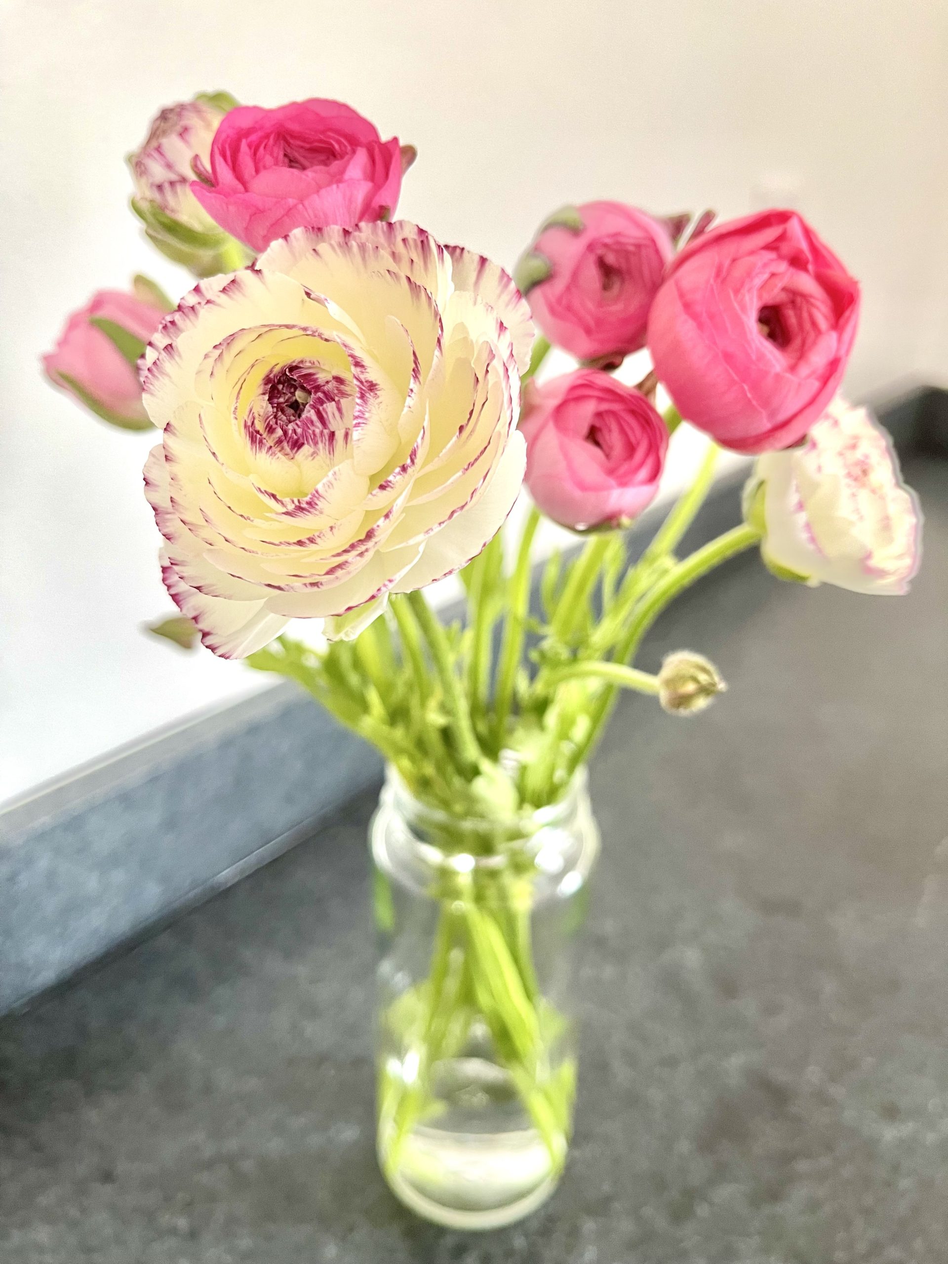 17 Things I Want To Do In 2023 – Week 22 of 52