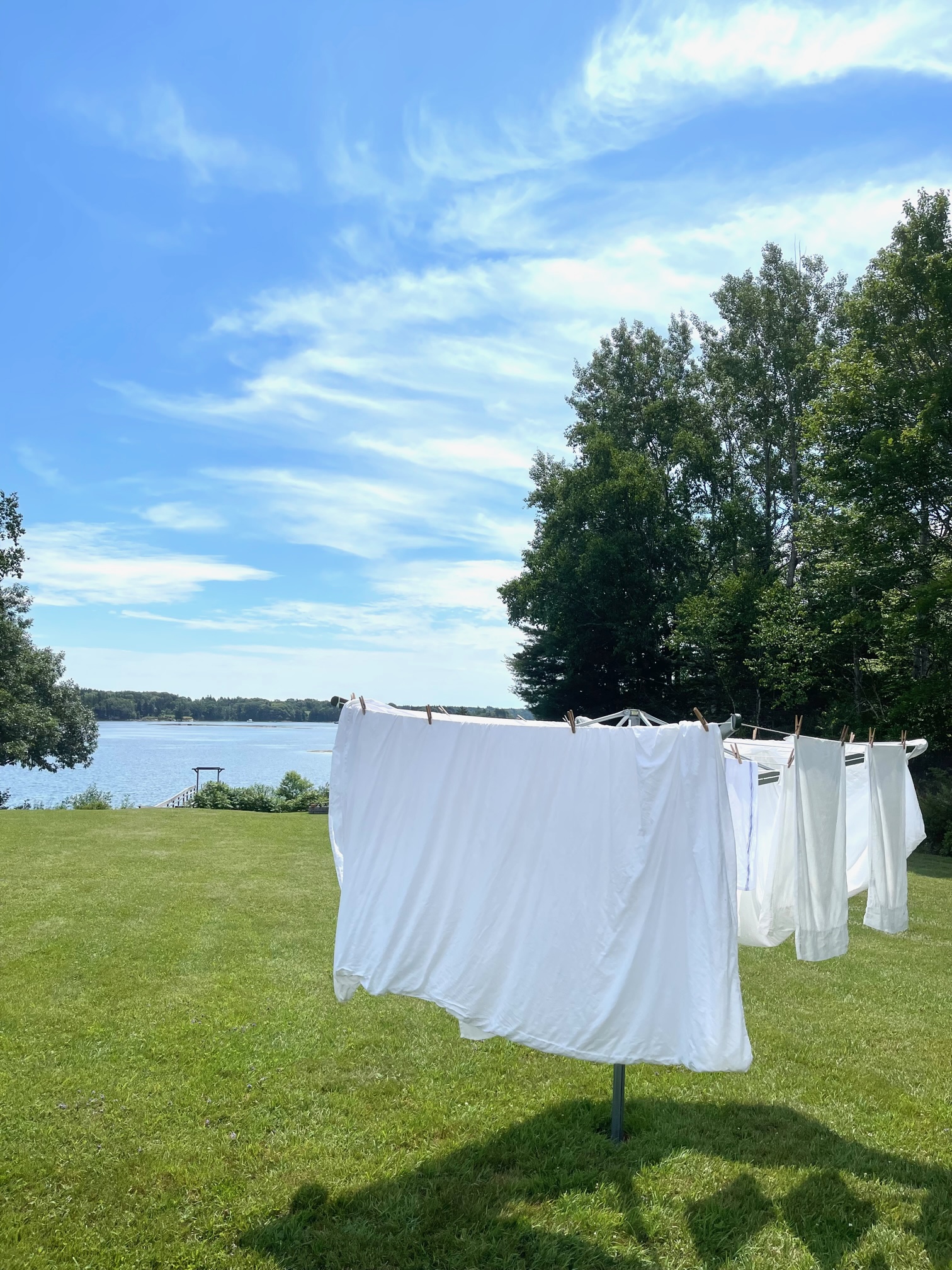 Six Pins Dolores! Six Pins, Not Five!