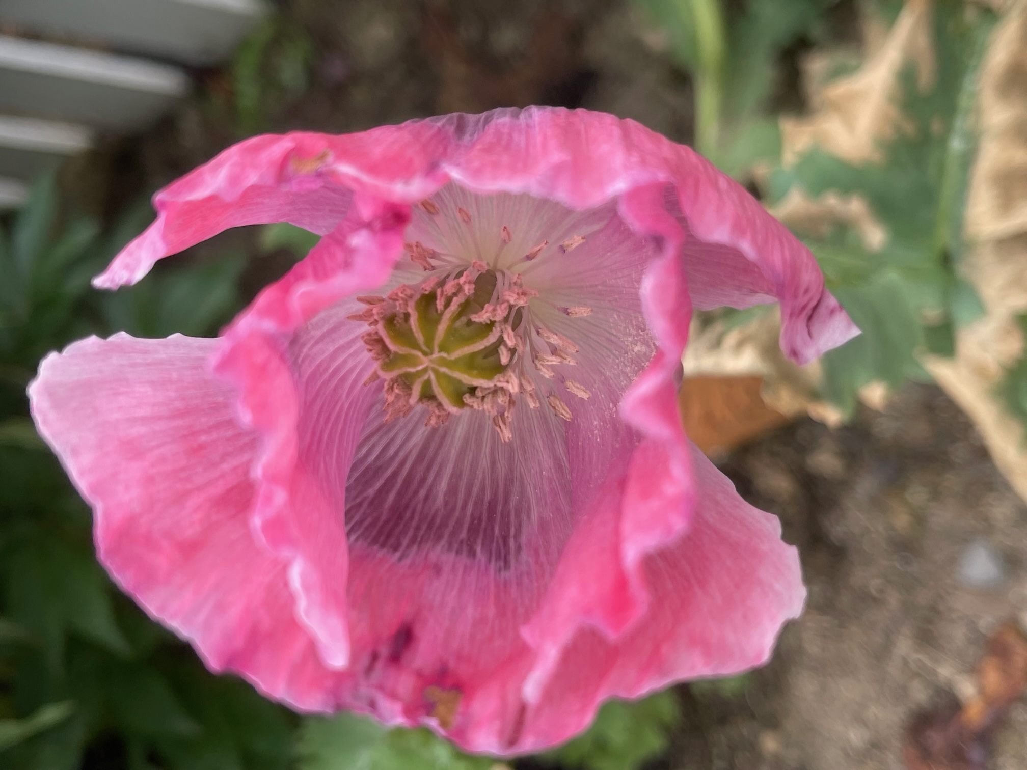 17 Things I Want To Do In 2023 – Week 27 of 52