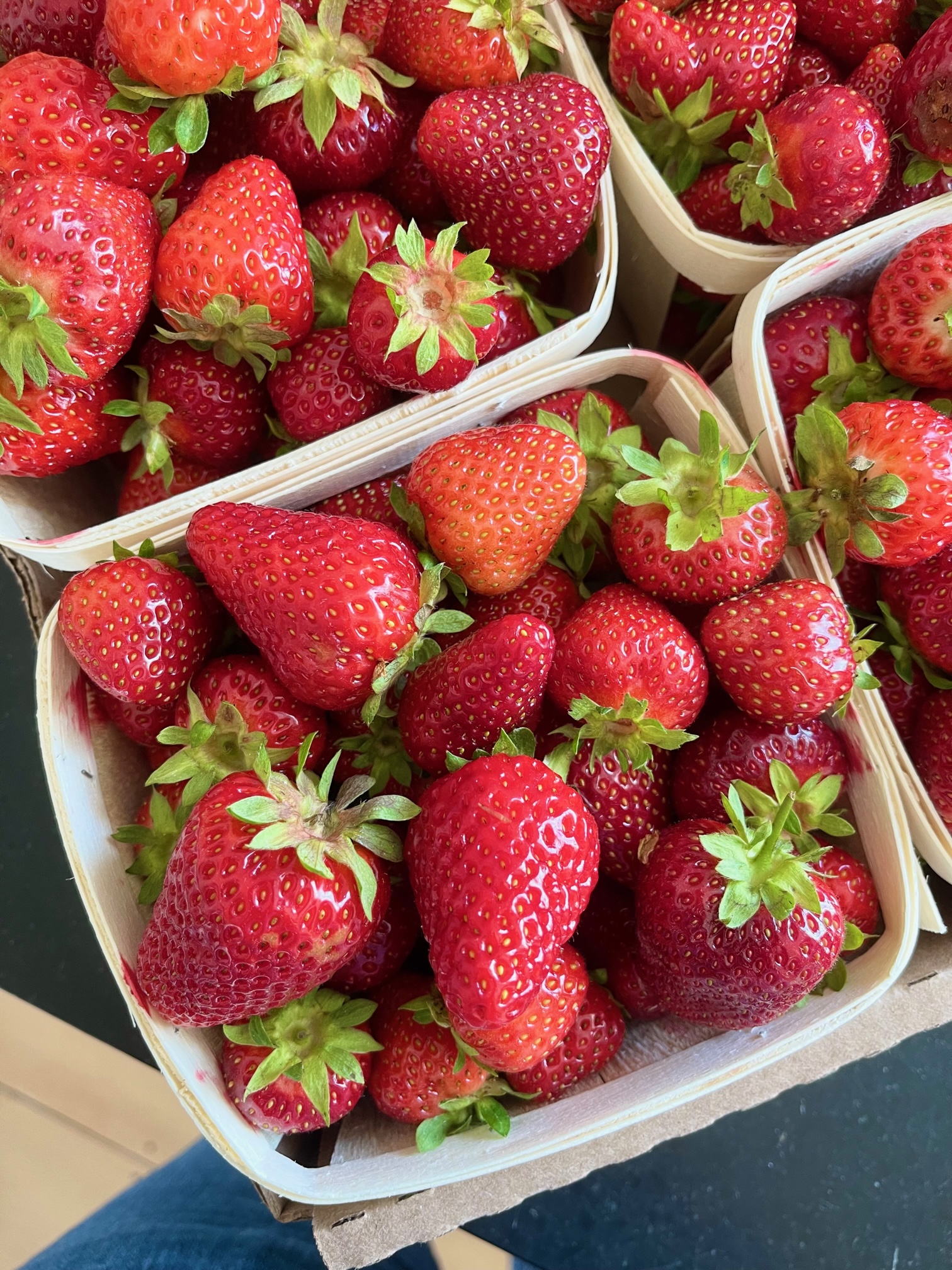 10 Fun Facts About Strawberries!