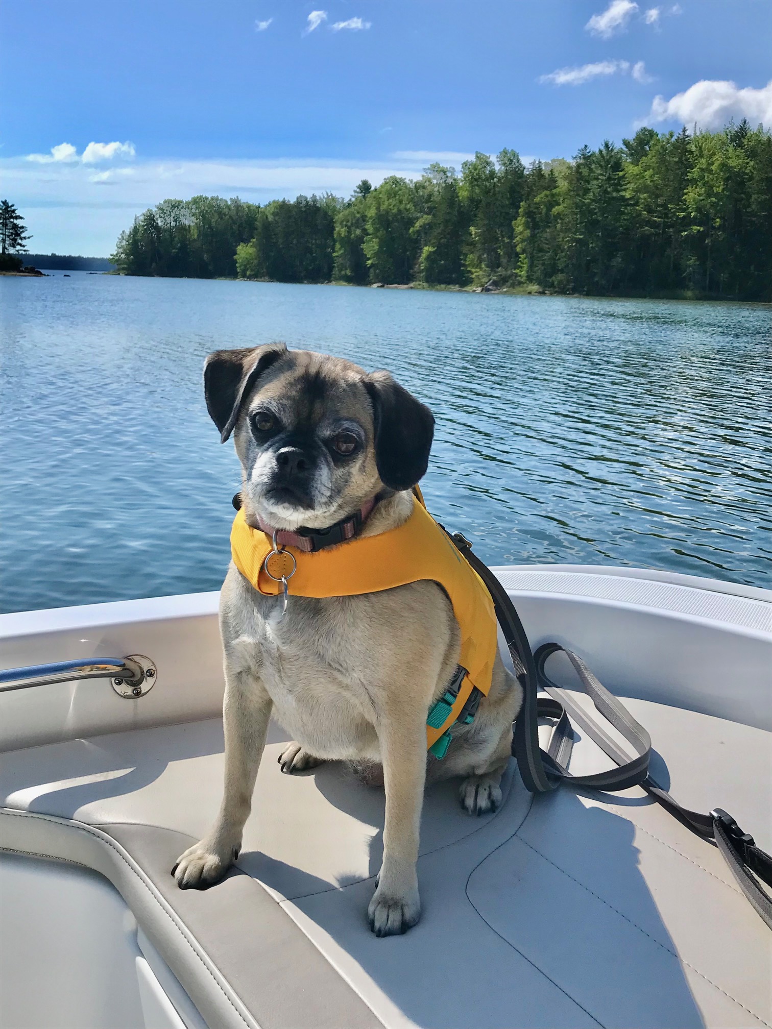 Bits And Bobs For Early August