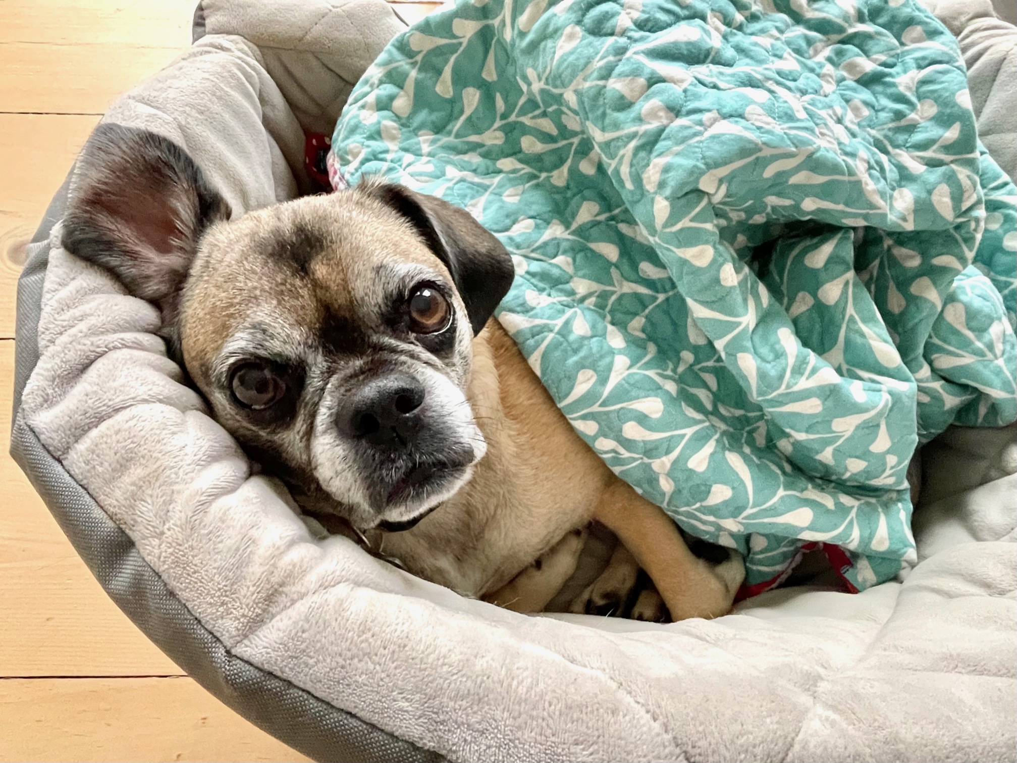 17 Things I Want To Do In 2023 – Week 33 of 52