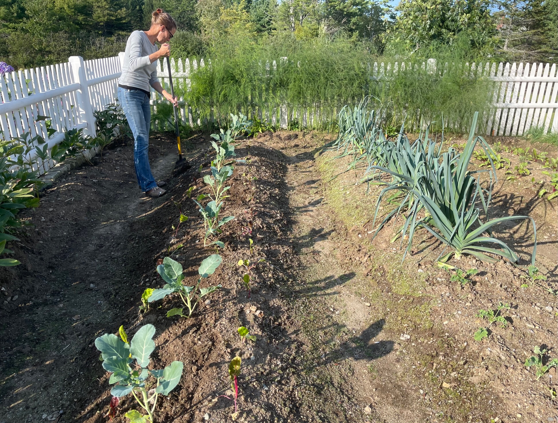 17 Things I Want To Do In 2023 – Week 35 of 52