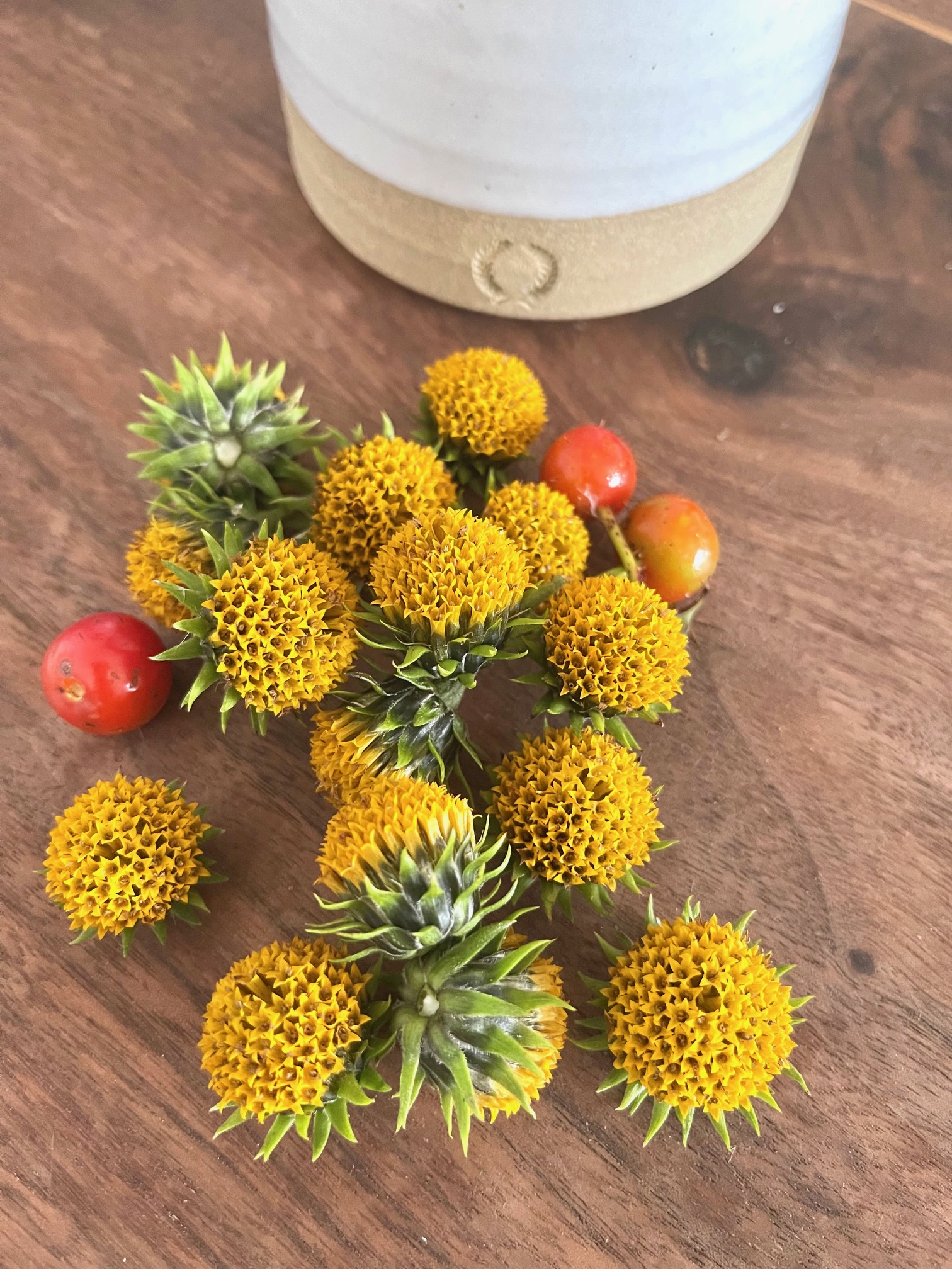 17 Things I Want To Do In 2023 – Week 38 of 52