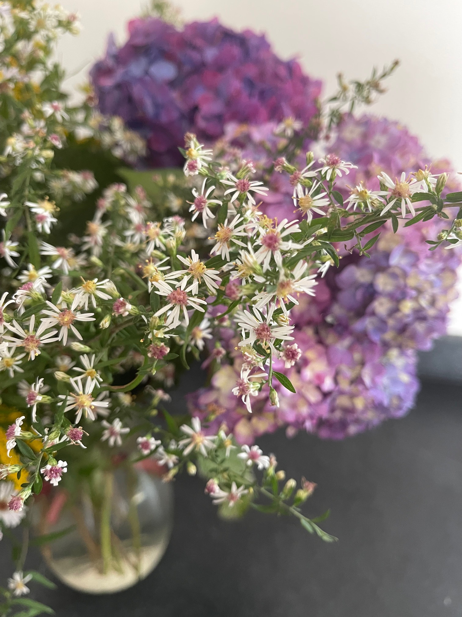 17 Things I Want To Do In 2023 – Week 39 of 52