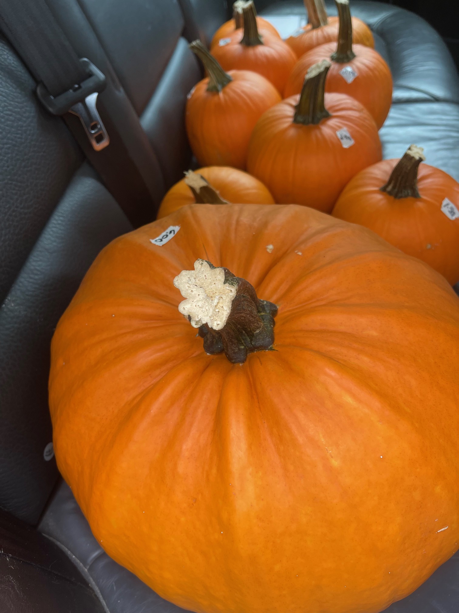 17 Things I Want To Do In 2023 – Week 40 of 52