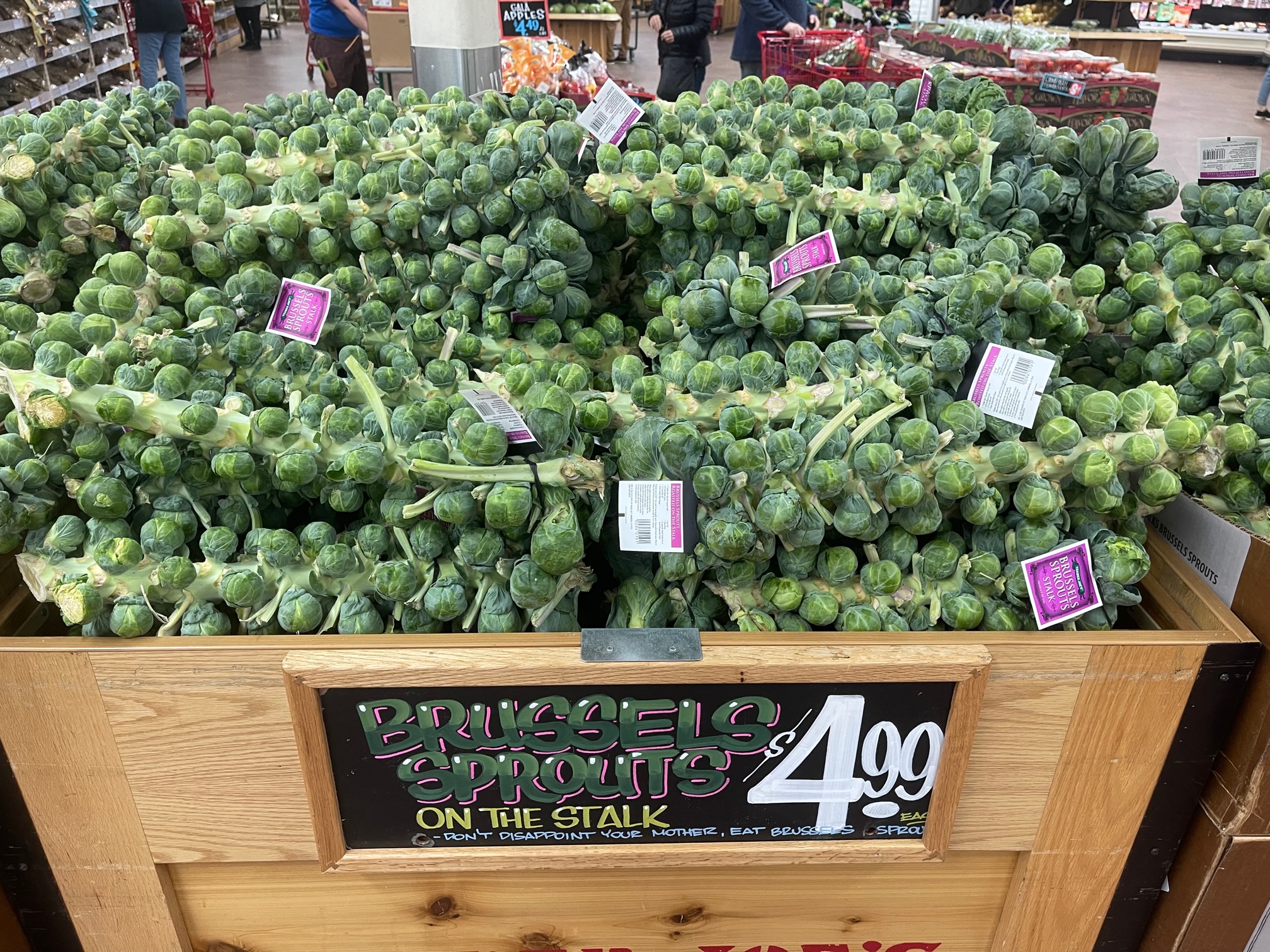 Should I Buy Brussels Sprouts On The Stalk?