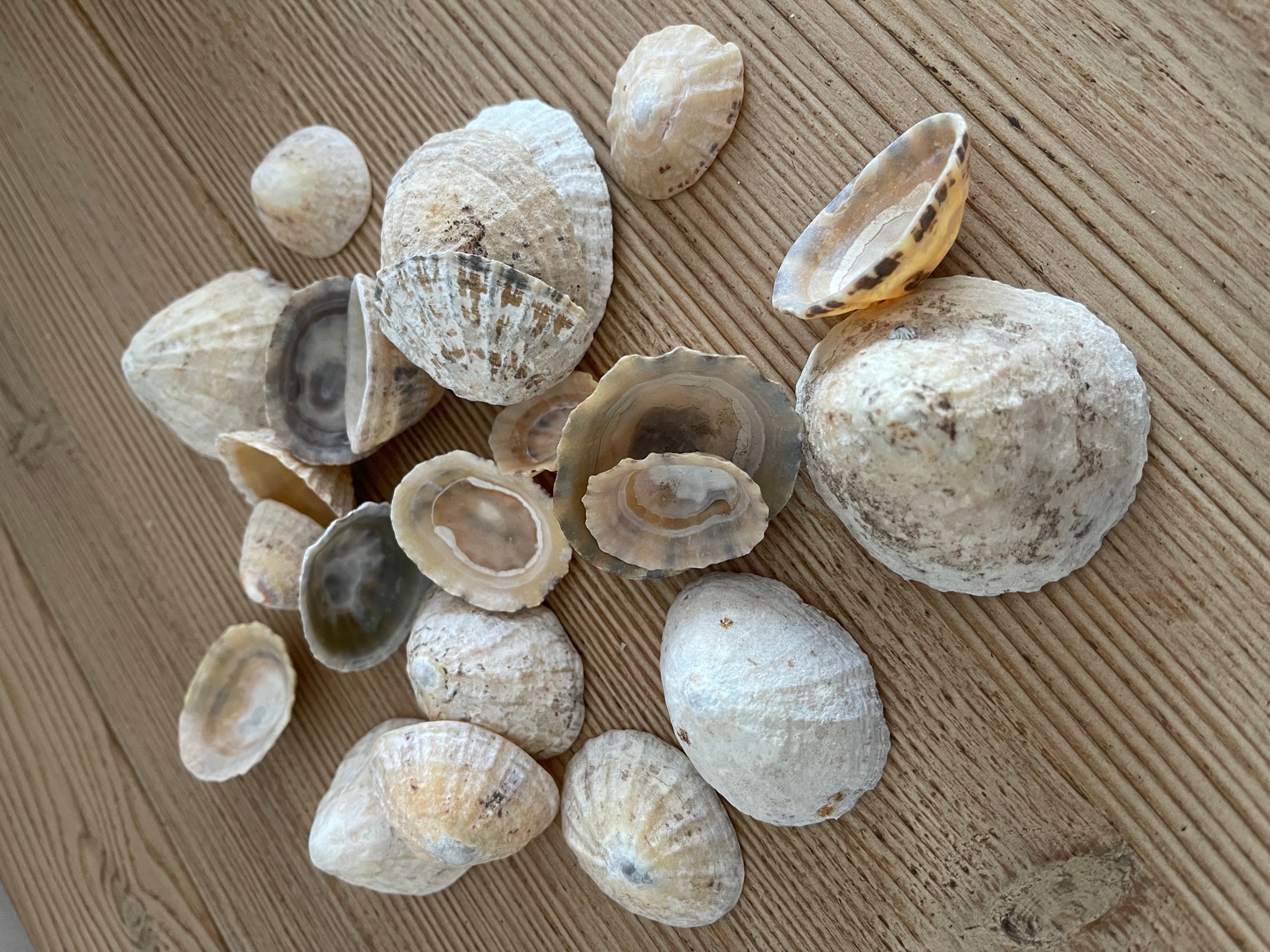 17 Things I Want To Do In 2023 – Week 45 of 52