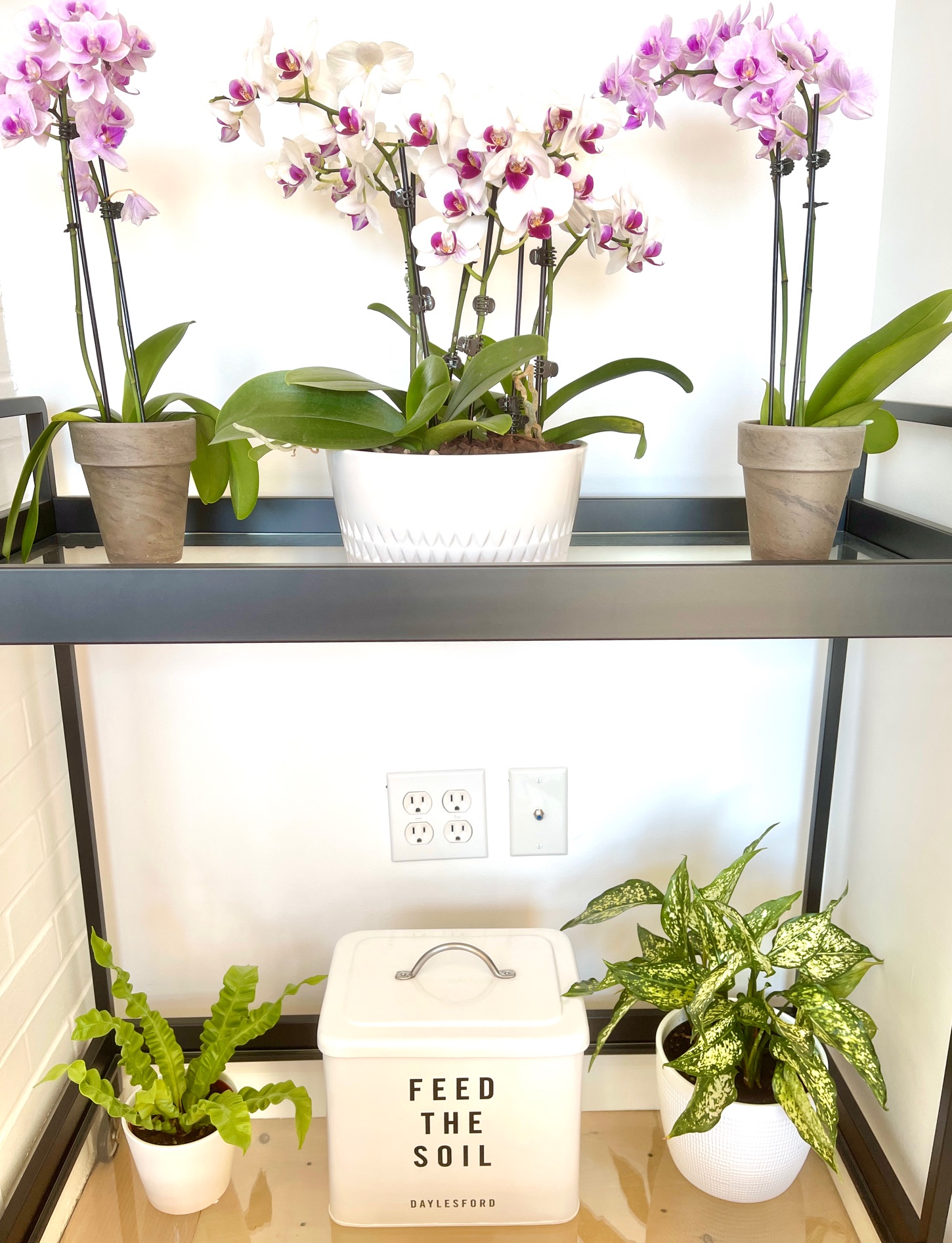 17 Things I Want To Do In 2023 – Week 47 of 52