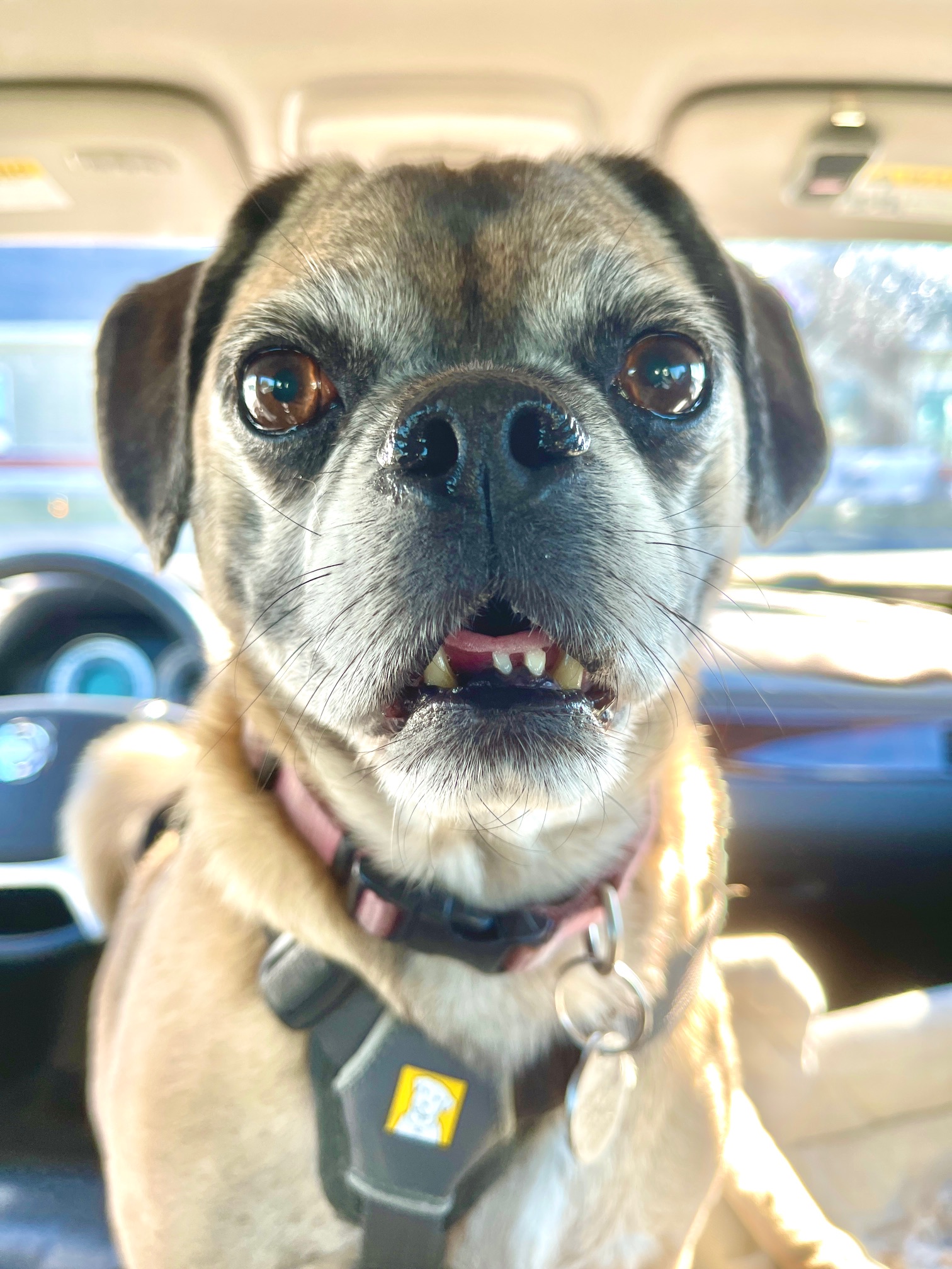 17 Things I Want To Do In 2023 – Week 51 of 52