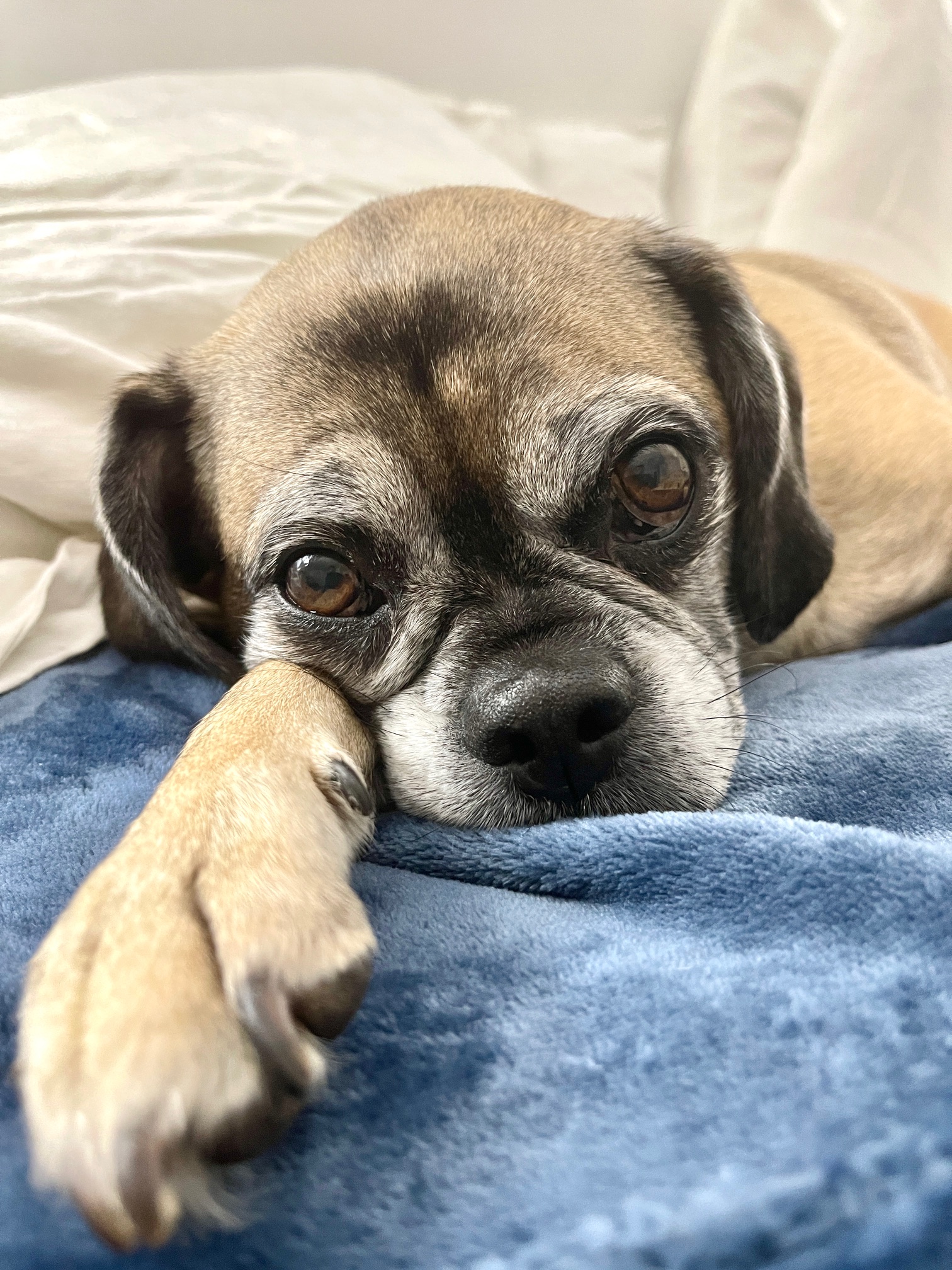 17 Things I Want To Do In 2023 – Week 48 of 52