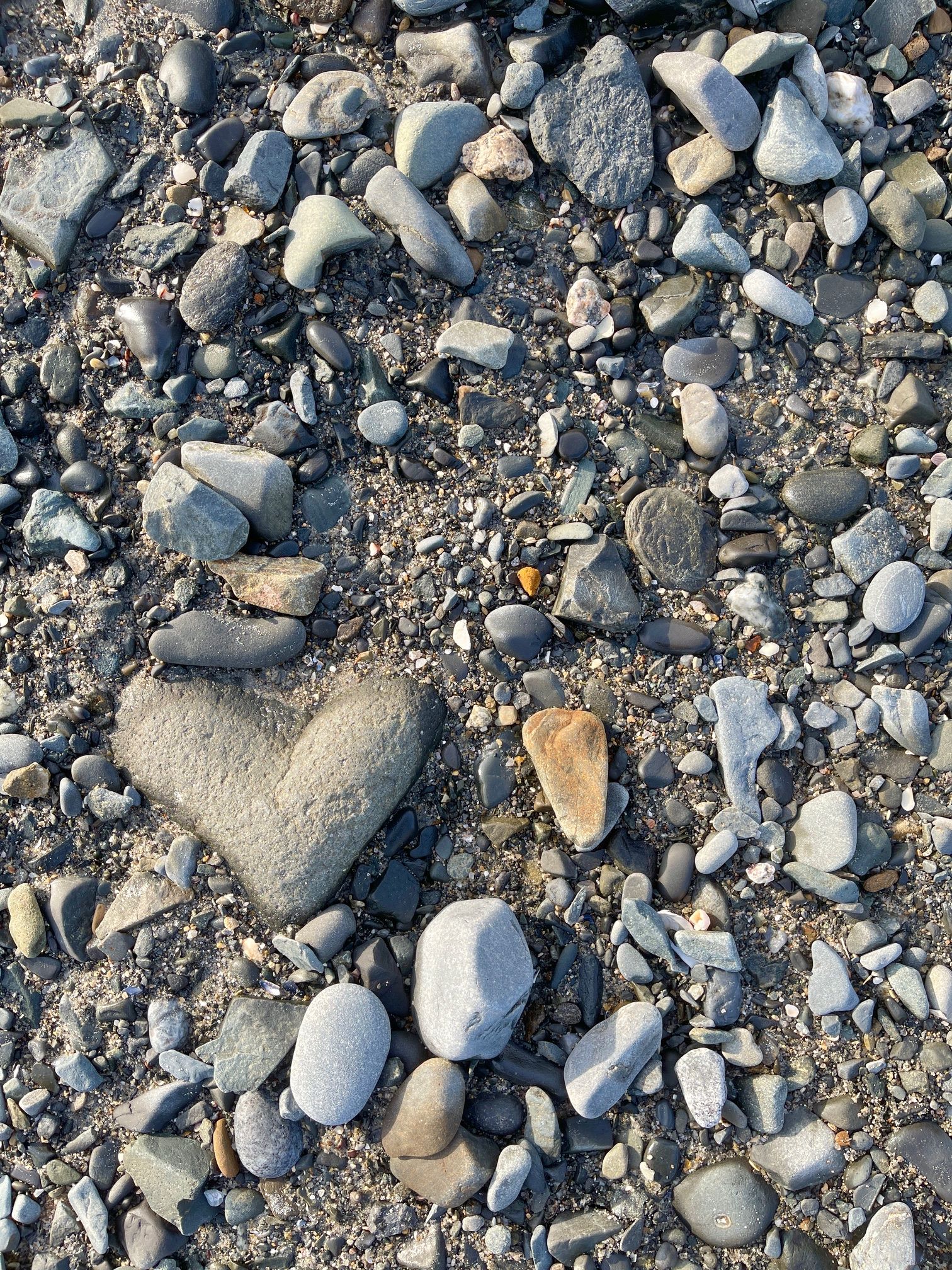 Heart Shaped Rocks