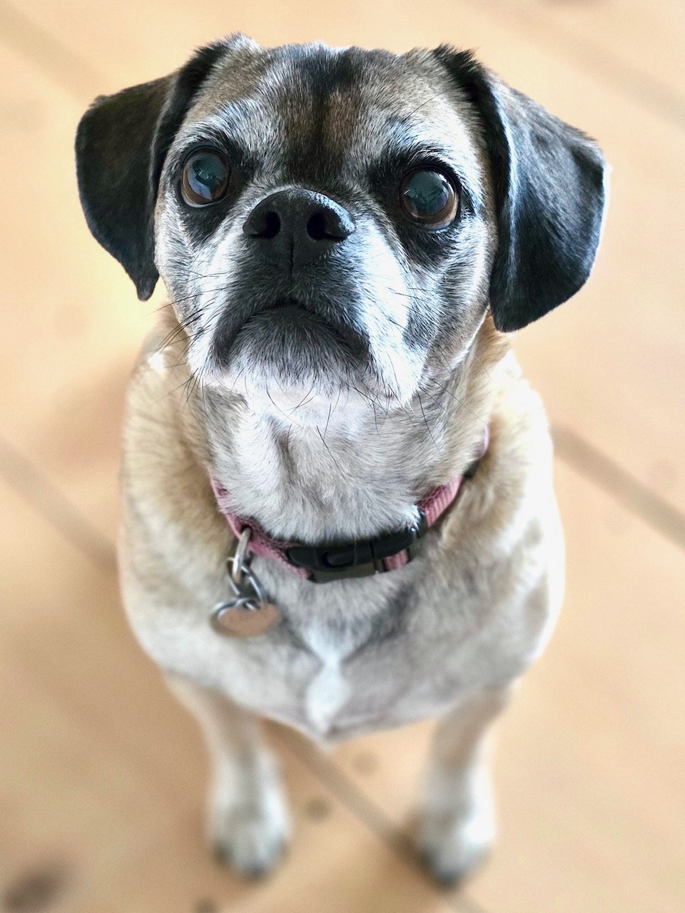 My 14 Goals For 2024 – Week 8 of 52