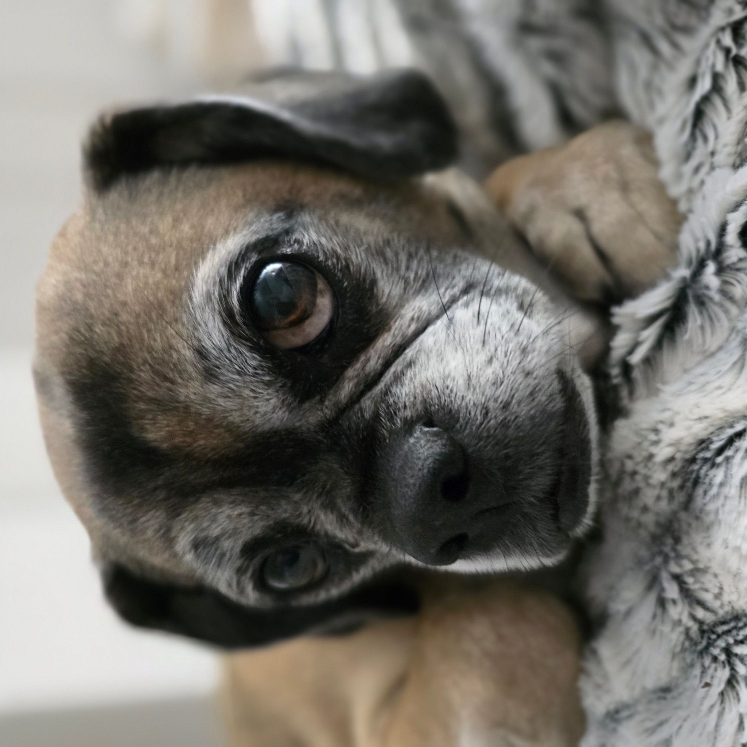 My 14 Goals For 2024 – Week 7 of 52