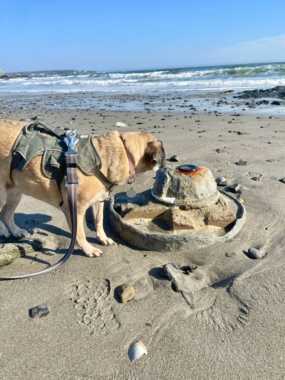 My 14 Goals For 2024 – Week 6 of 52