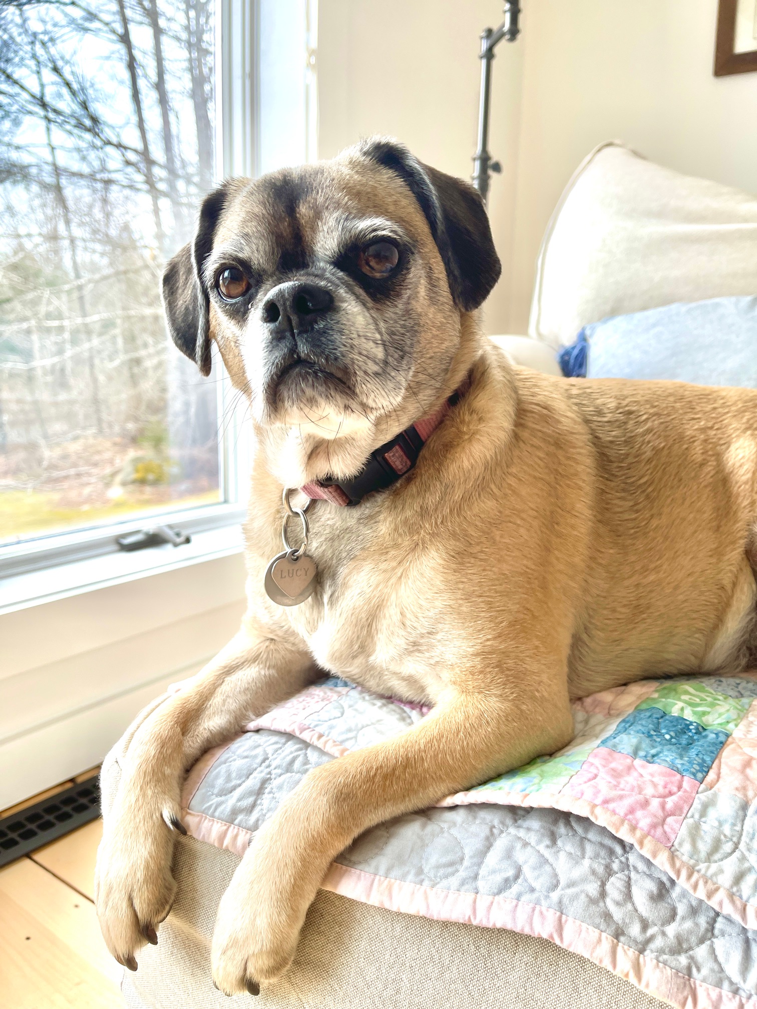 My 14 Goals For 2024 – Week 12 of 52