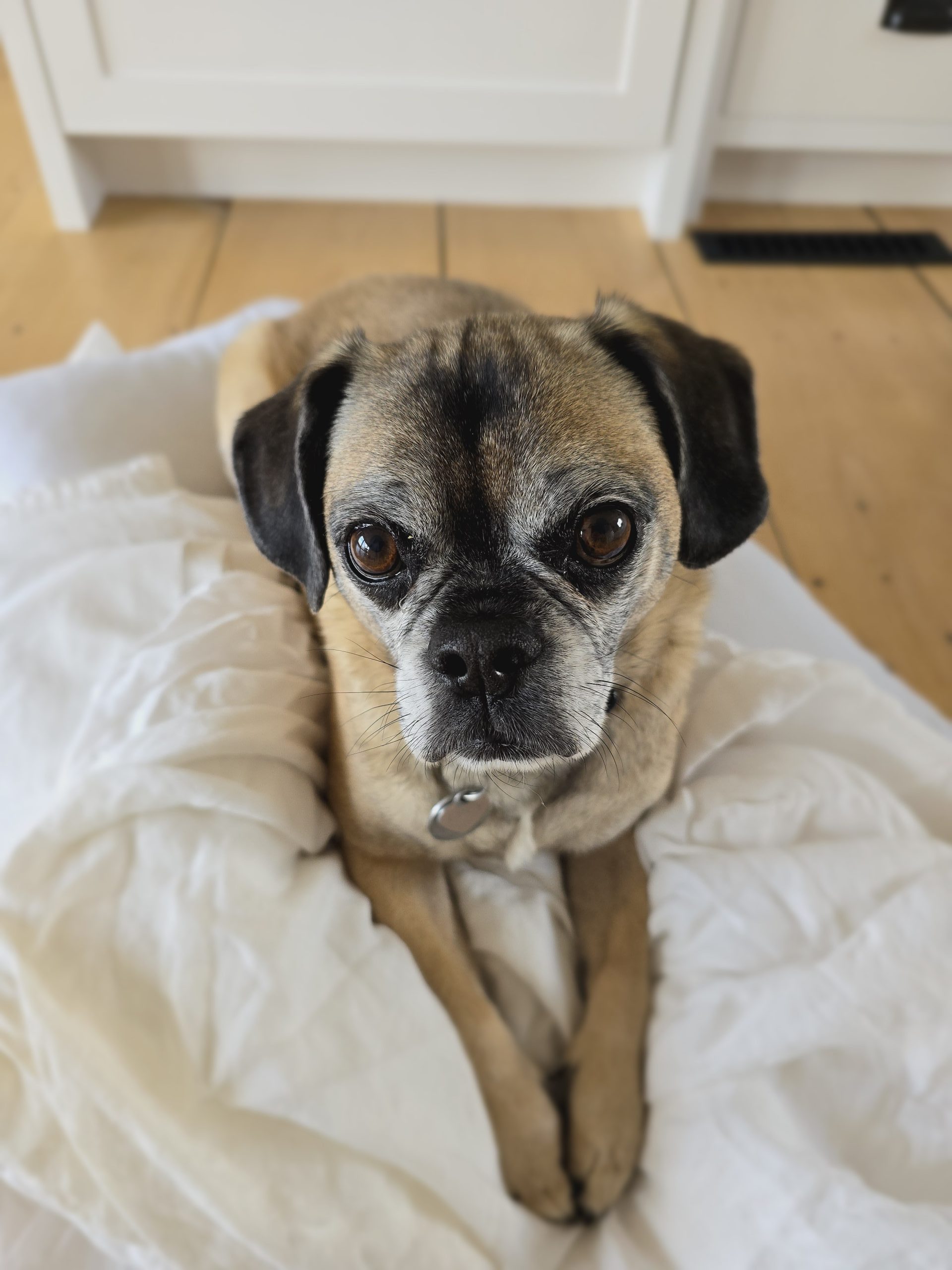 My 14 Goals For 2024 – Week 11 of 52