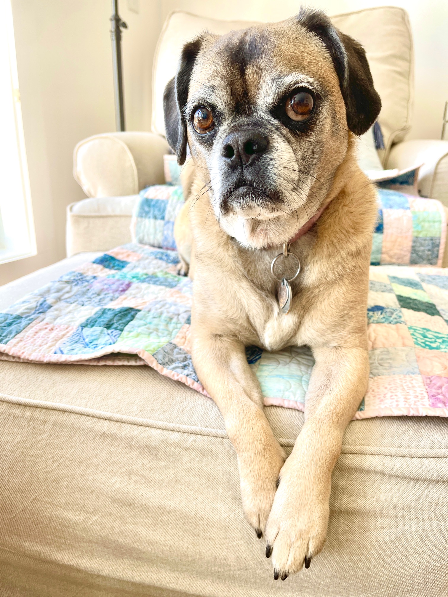 My 14 Goals For 2024 – Week 16 of 52