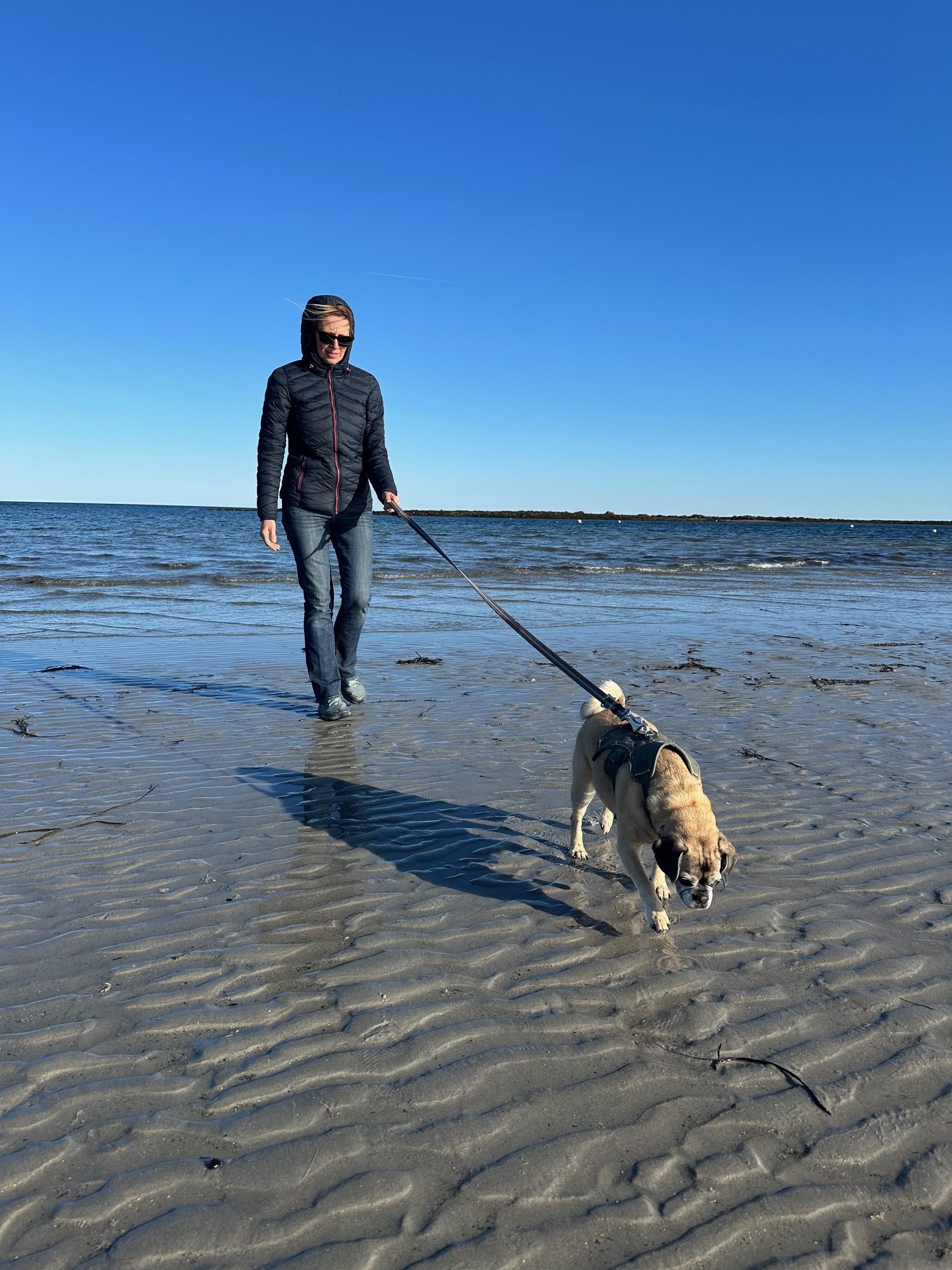 My 14 Goals For 2024 – Week 17 of 52