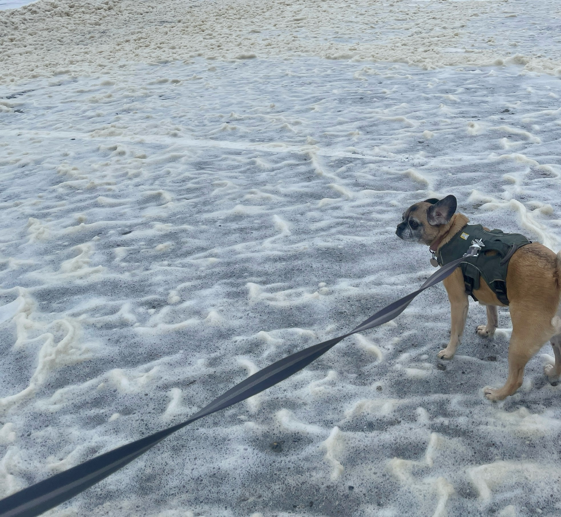 My 14 Goals For 2024 – Week 15 of 52