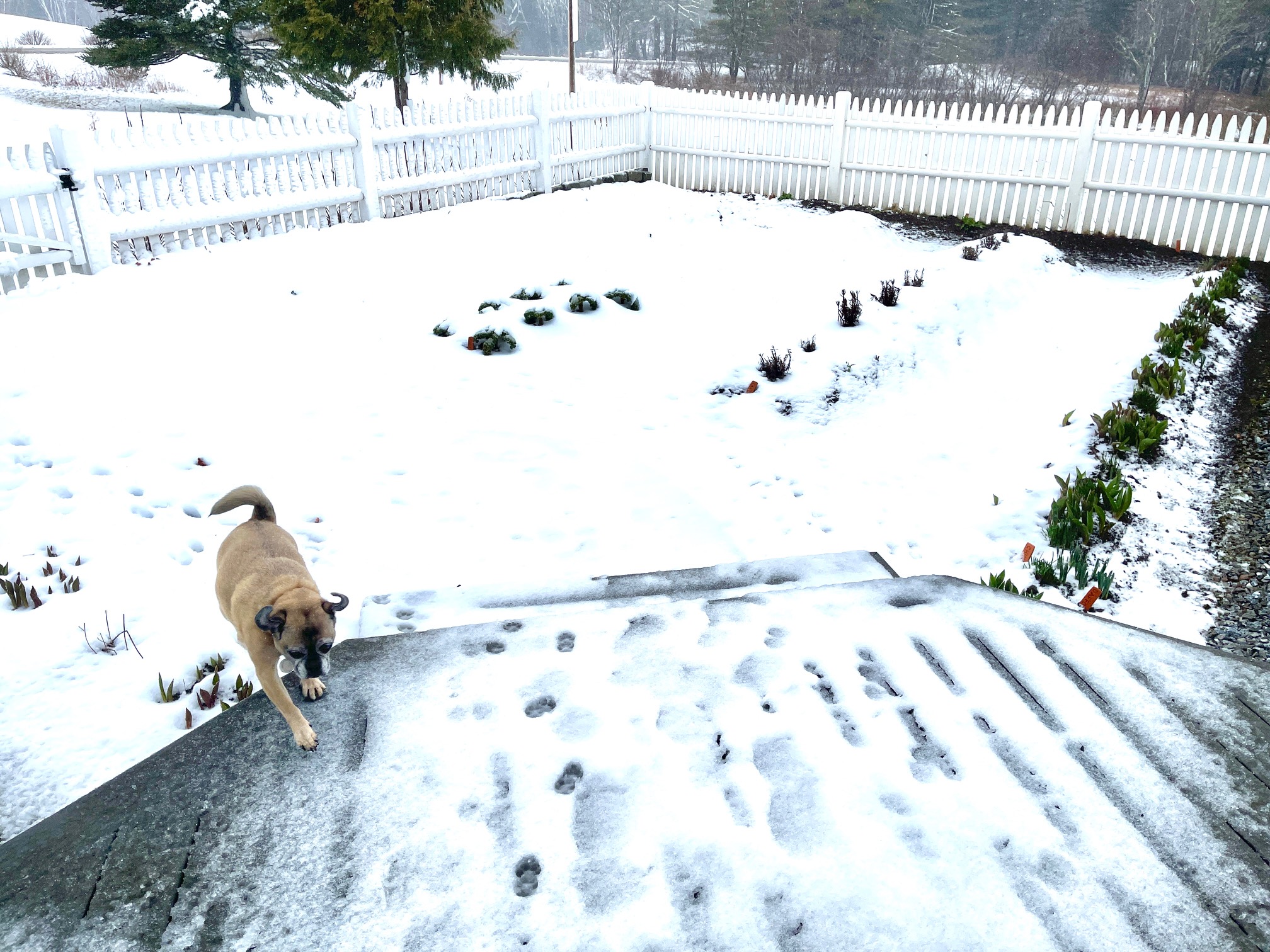 My 14 Goals For 2024 – Week 14 of 52