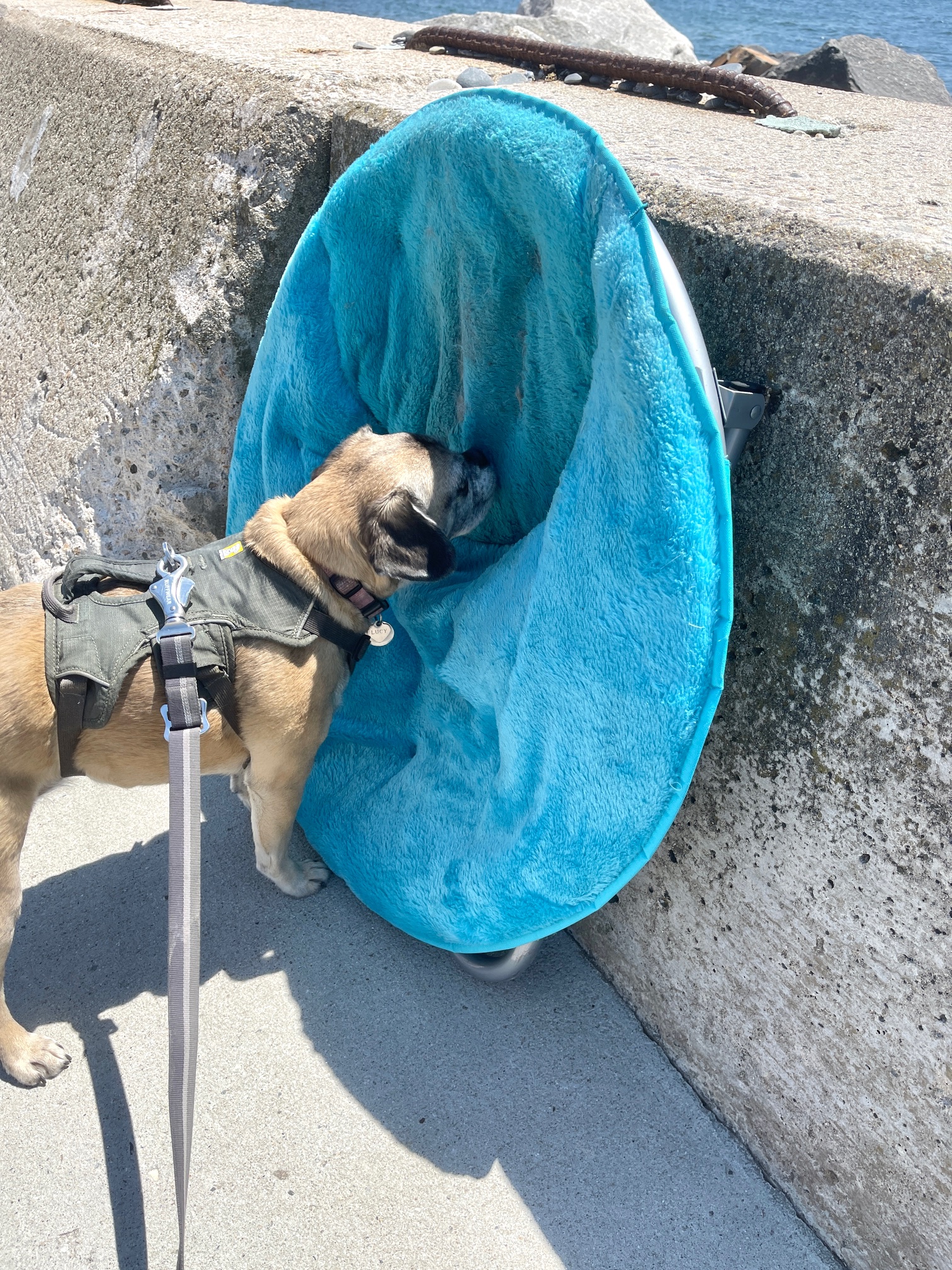 My 14 Goals For 2024 – Week 20 of 52