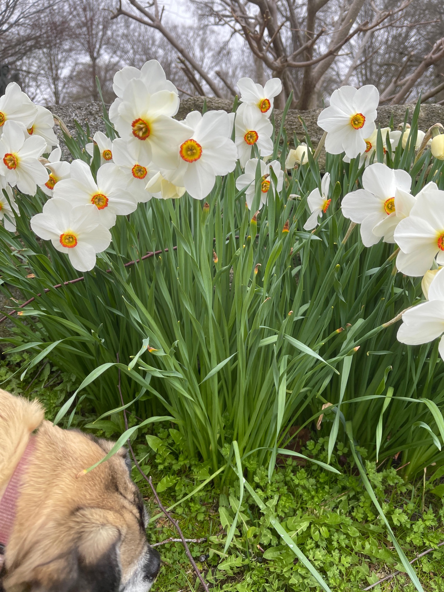 The First Day Of Spring