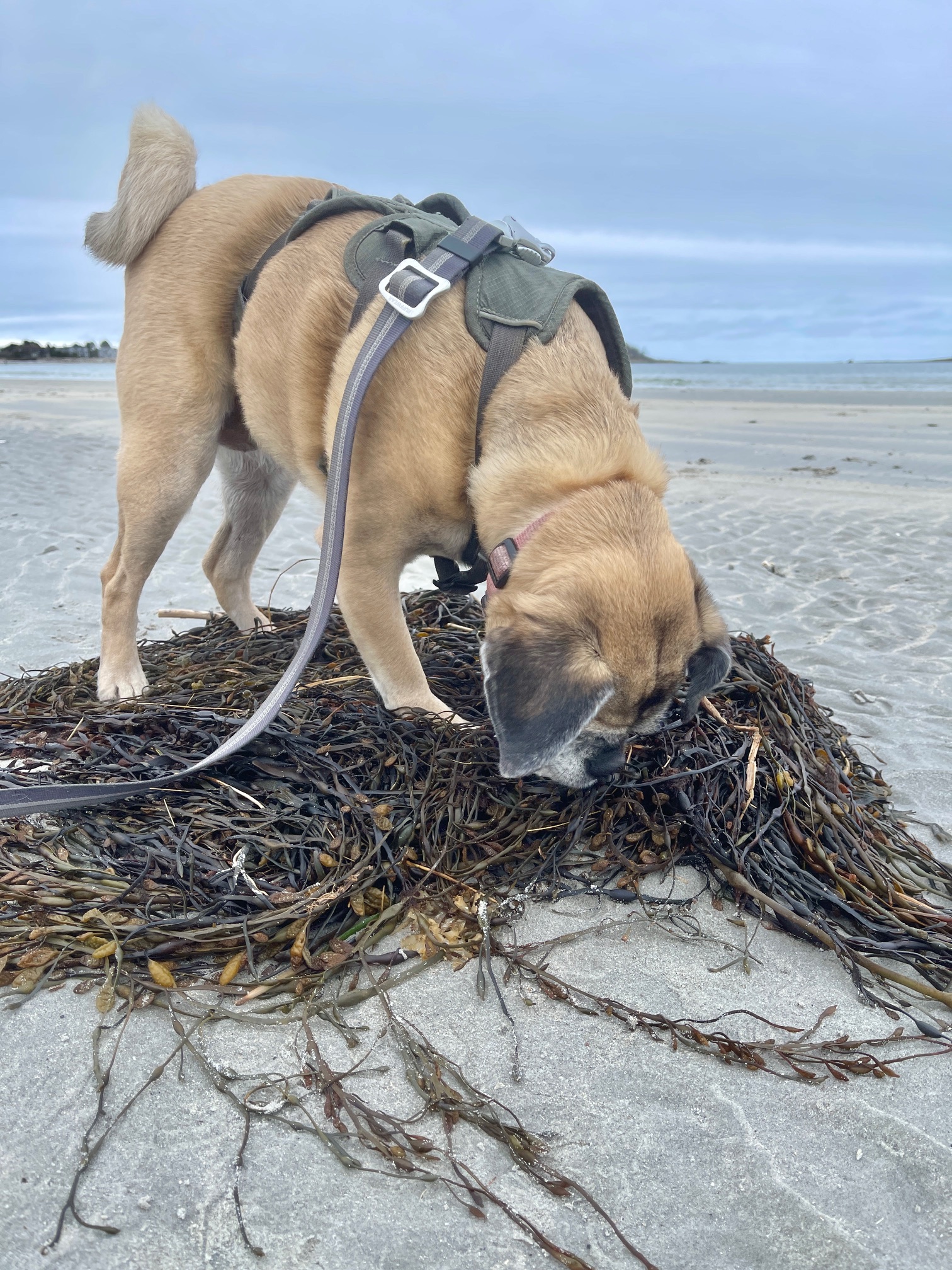 My 14 Goals For 2024 – Week 18 of 52