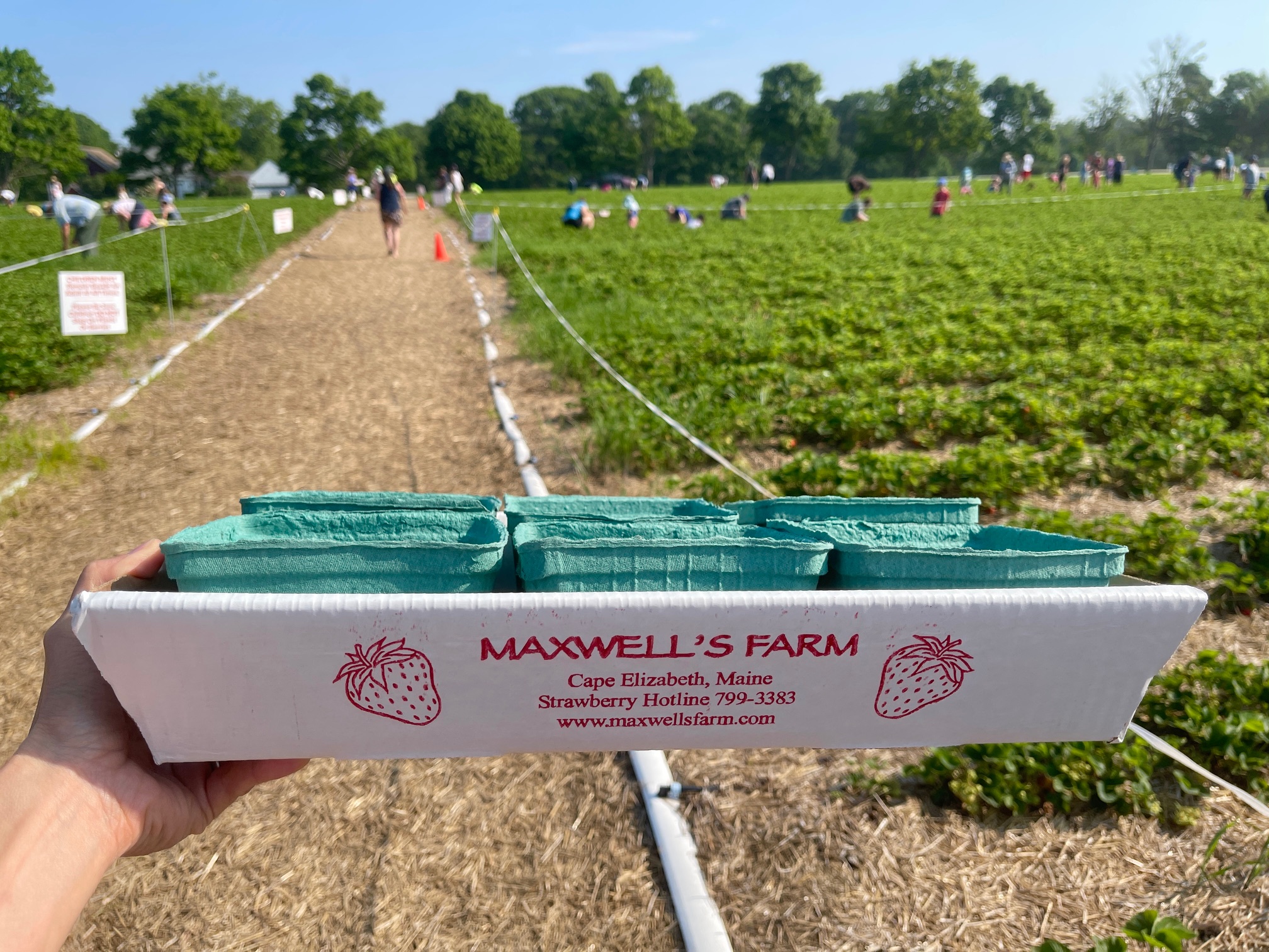 Maxwell’s Farm in Cape Elizabeth