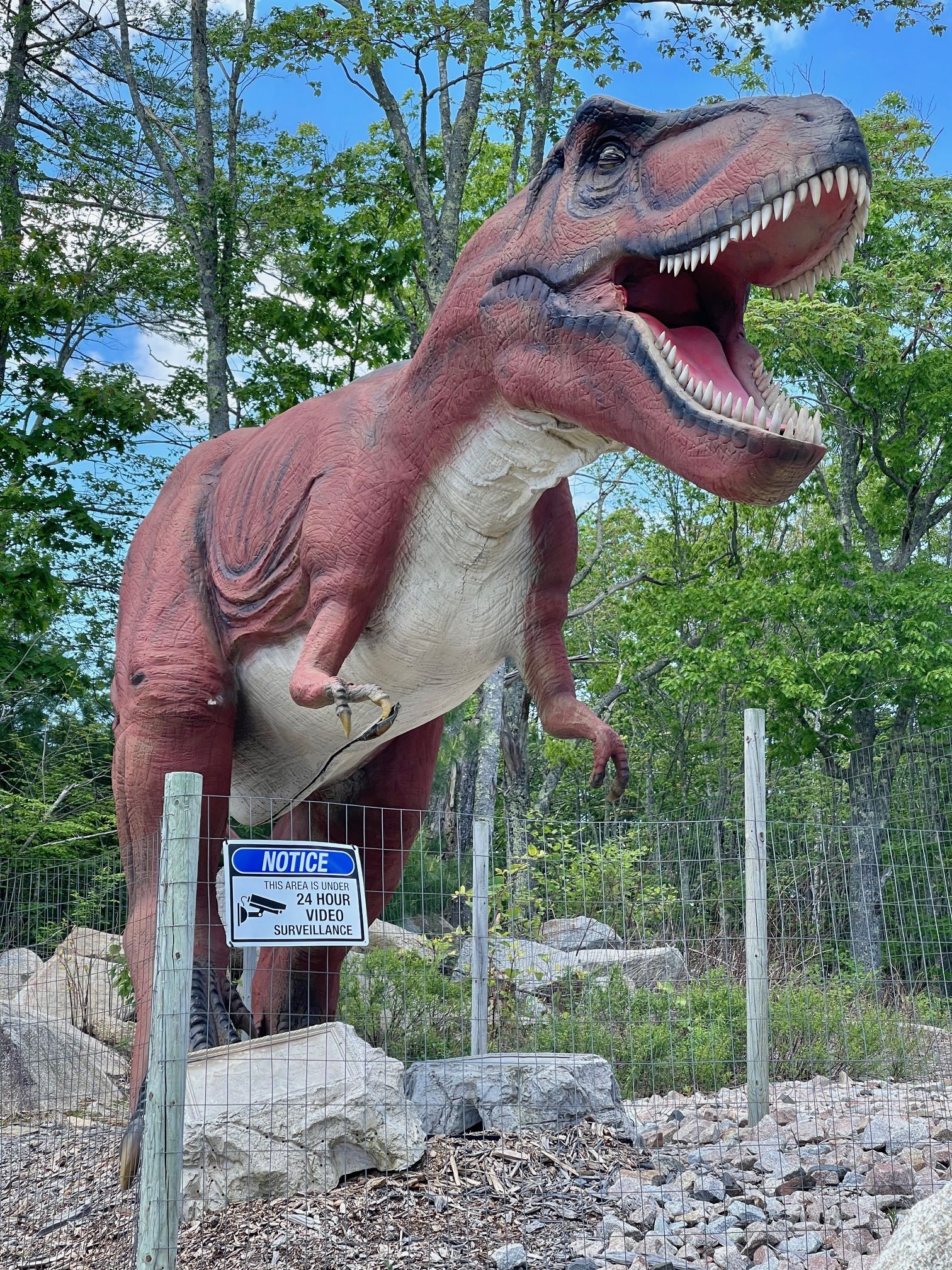 Raptor Falls Mini Golf