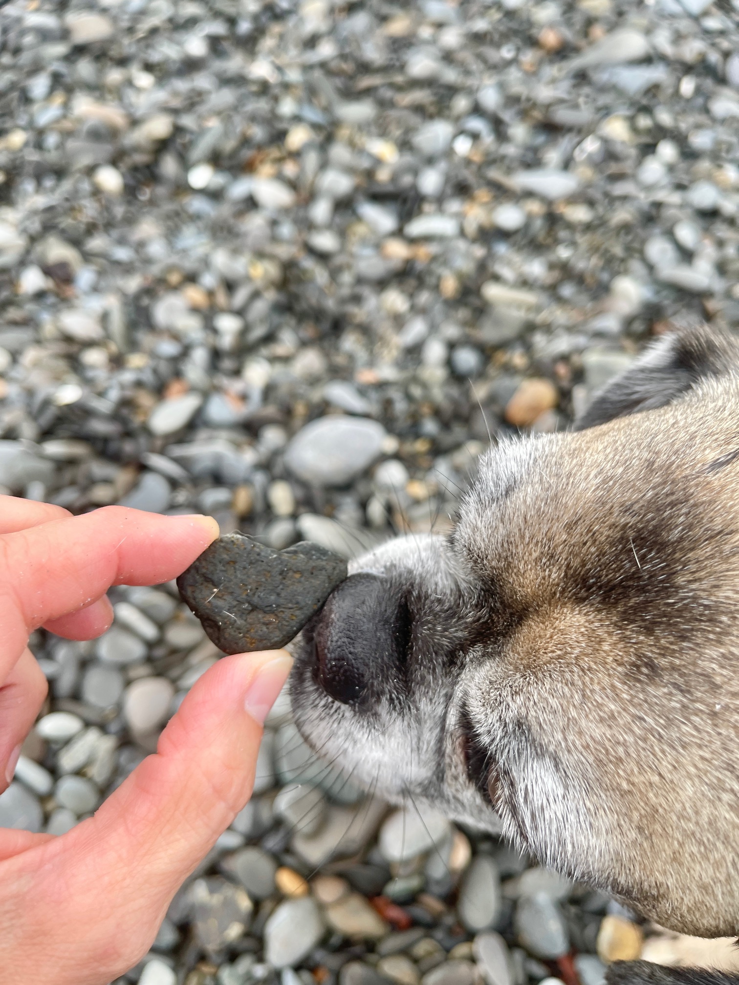 My 14 Goals For 2024 – Week 26 of 52