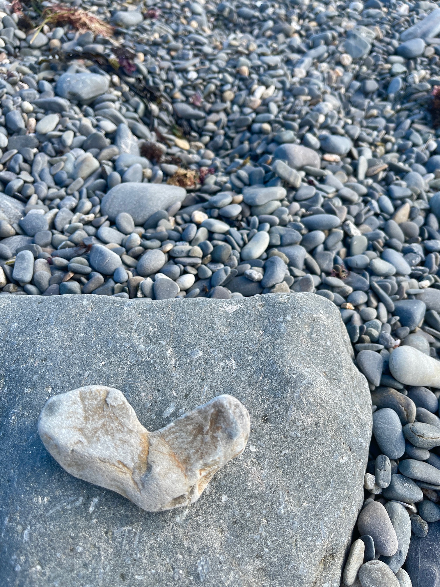 My 14 Goals For 2024 – Week 24 of 52