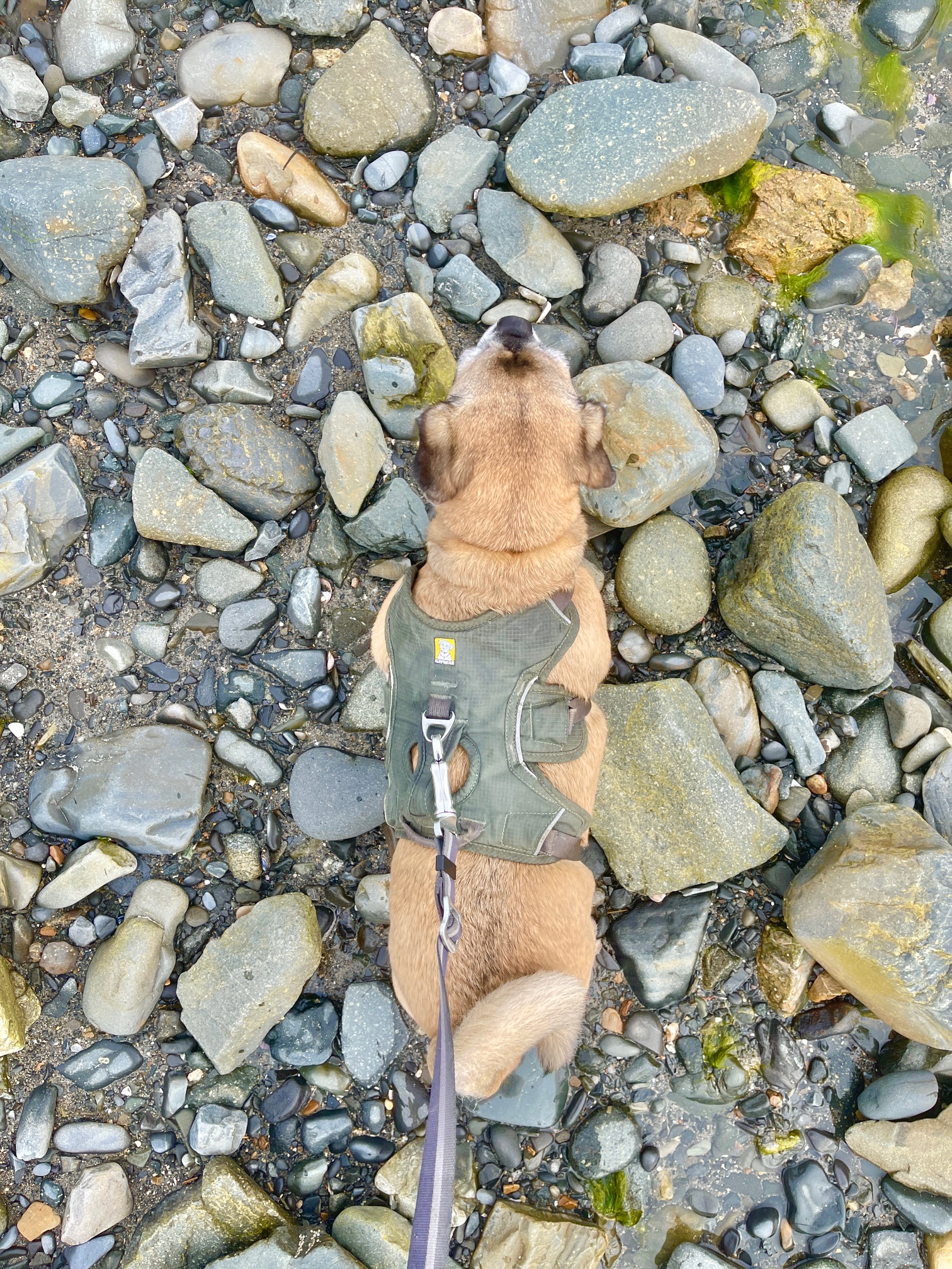 My 14 Goals For 2024 – Week 23 of 52