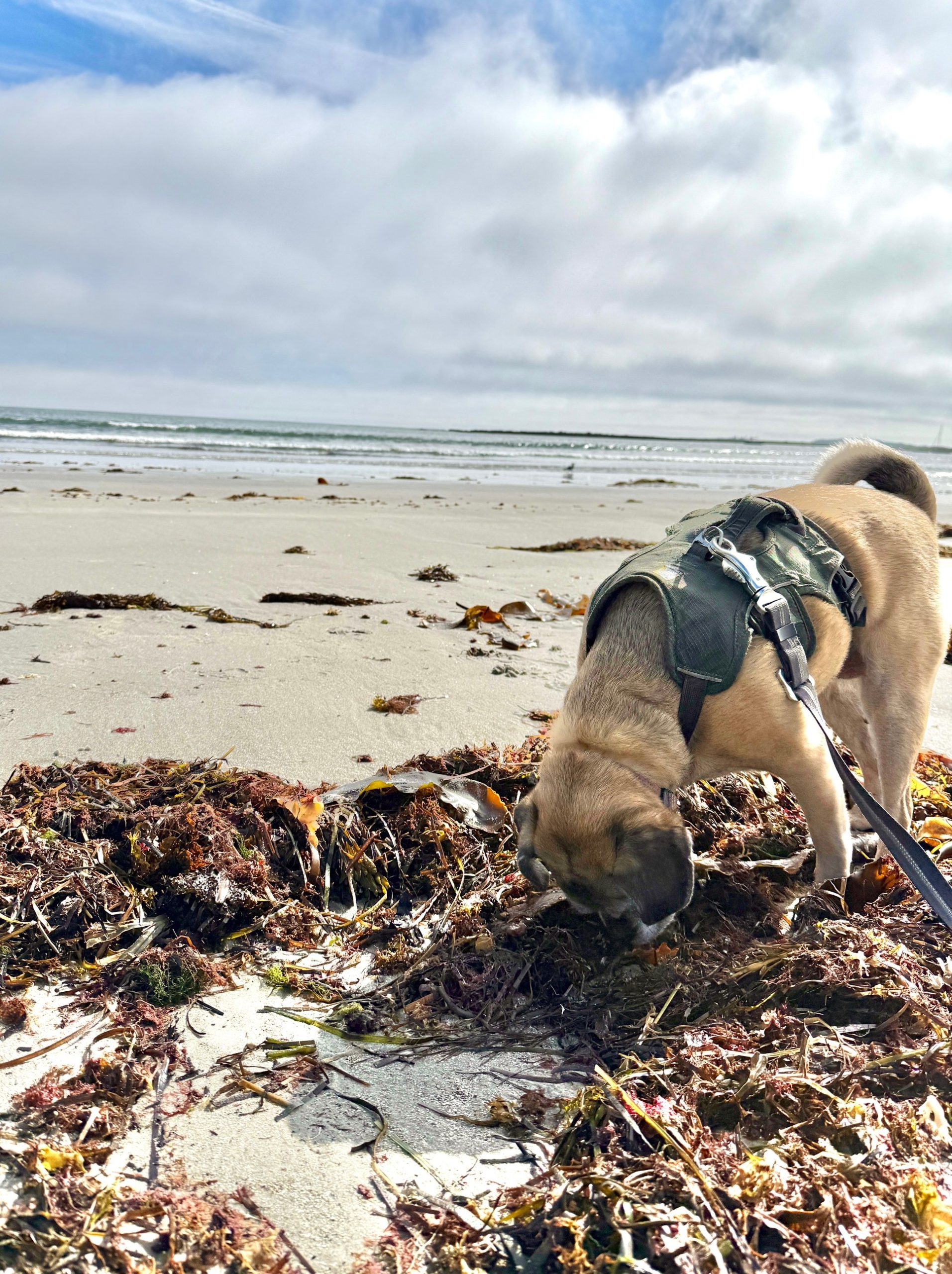 My 14 Goals For 2024 – Week 38 of 52