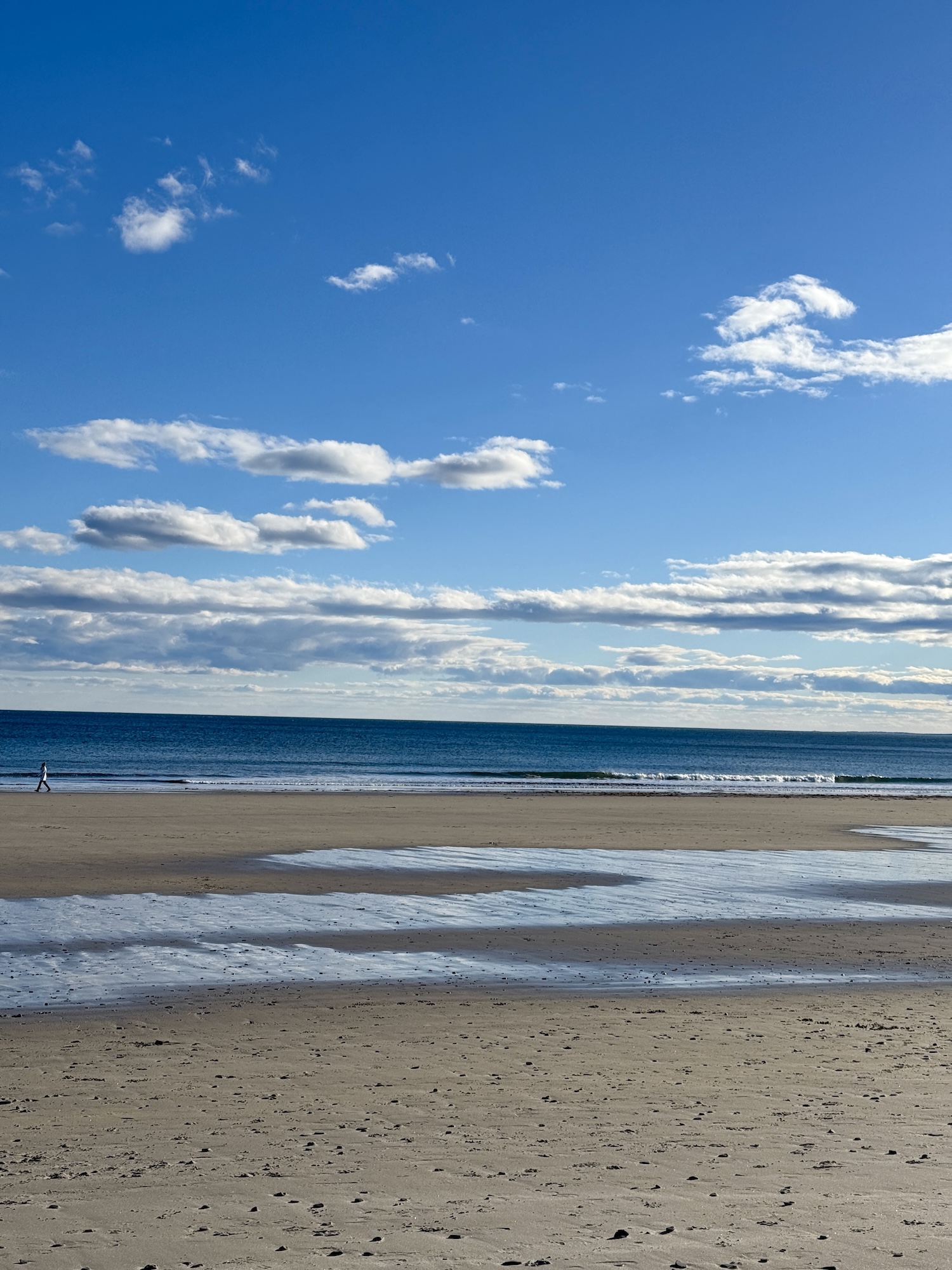 Late February In Maine