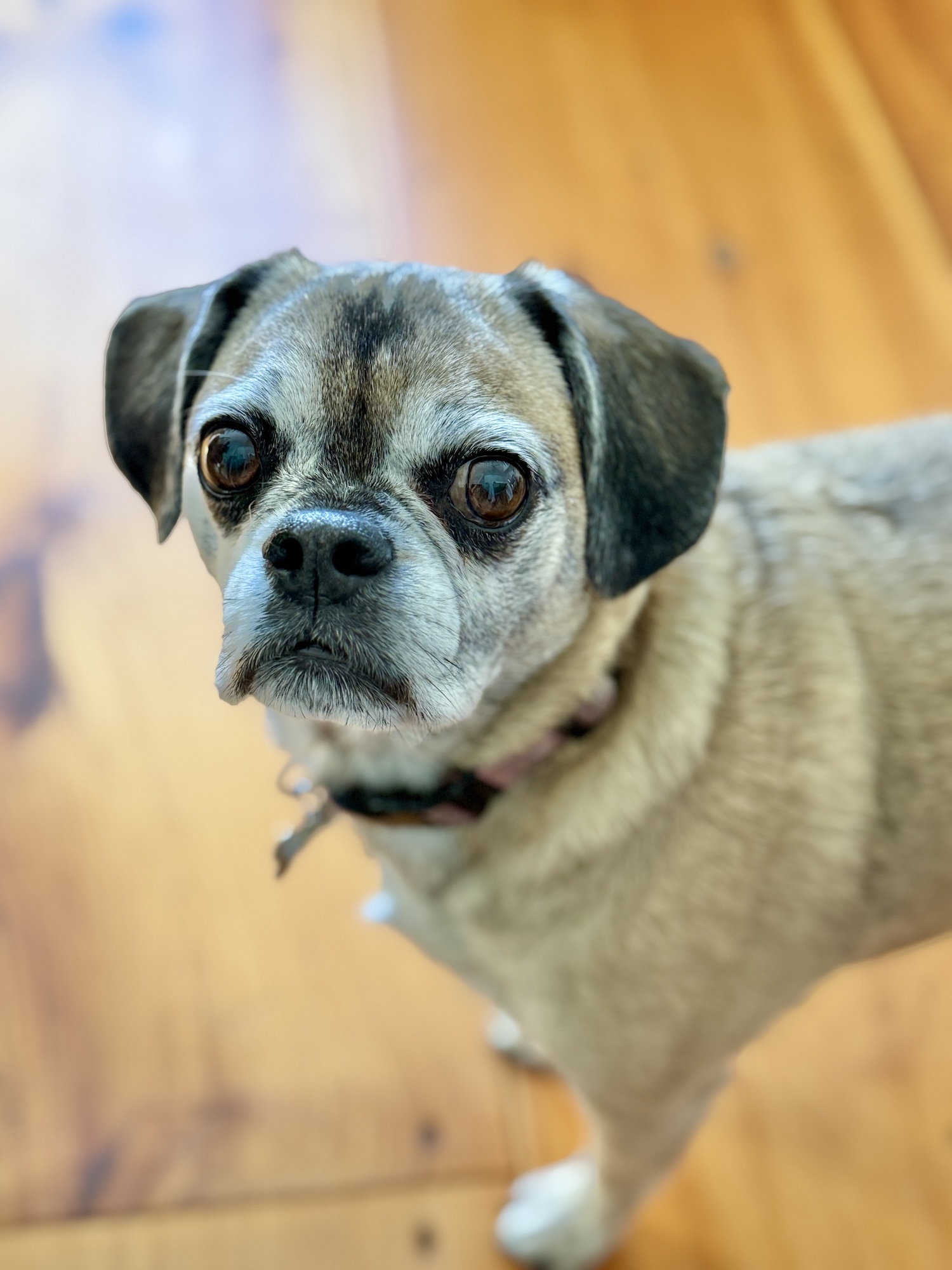 My Goals For 2025 Week 8 of 52