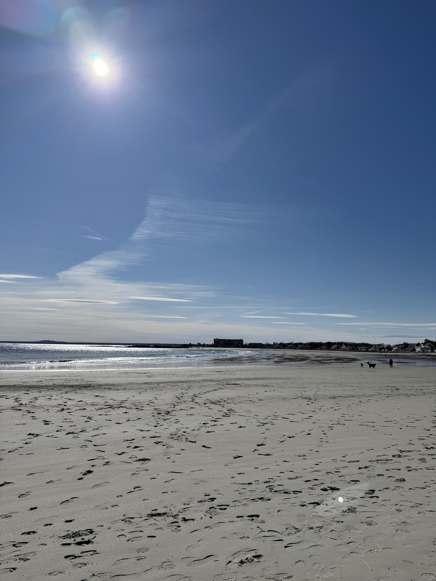 My Goals For 2025 Week 13 of 52