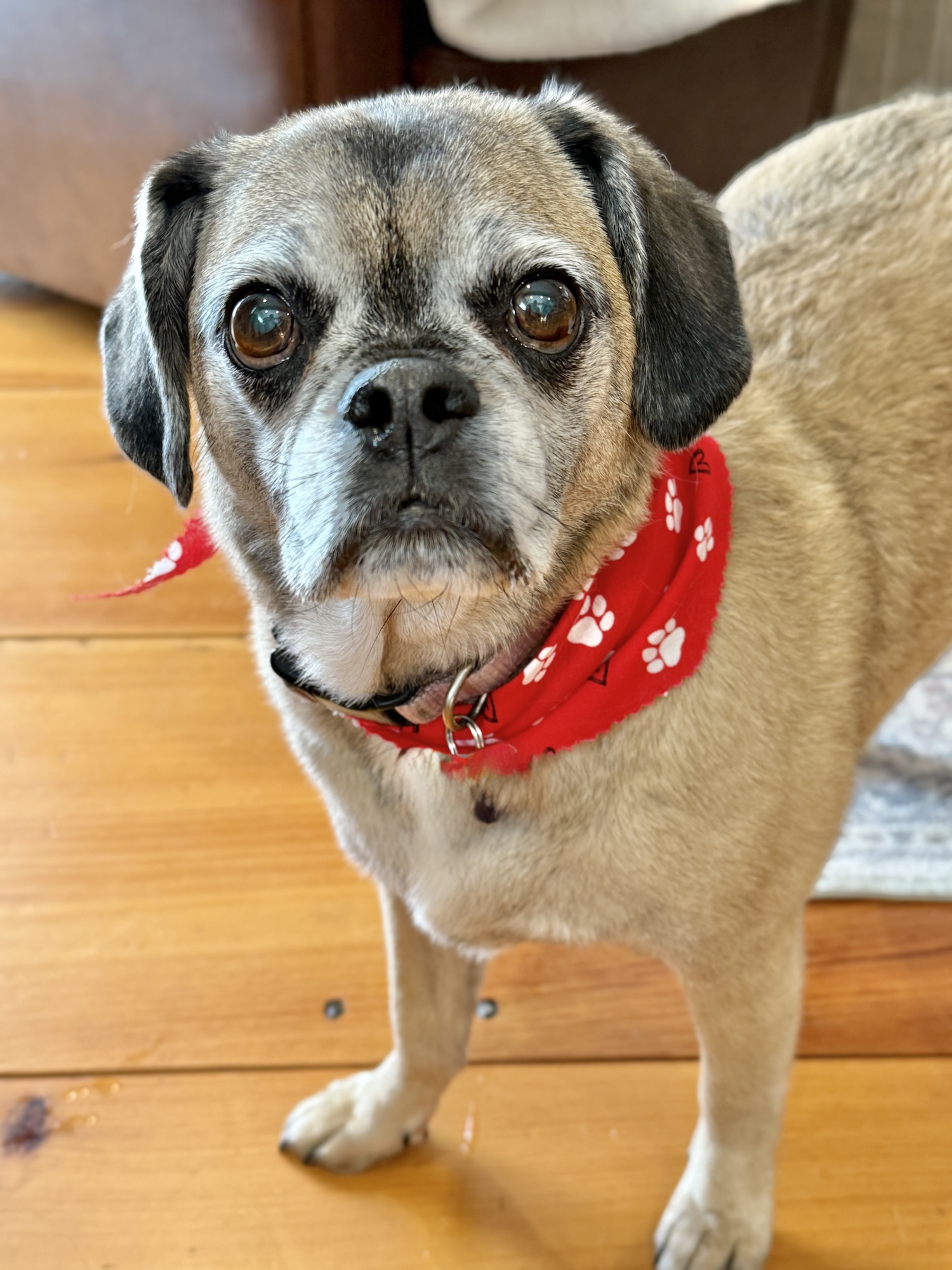 My Goals For 2025 Week 9 of 52