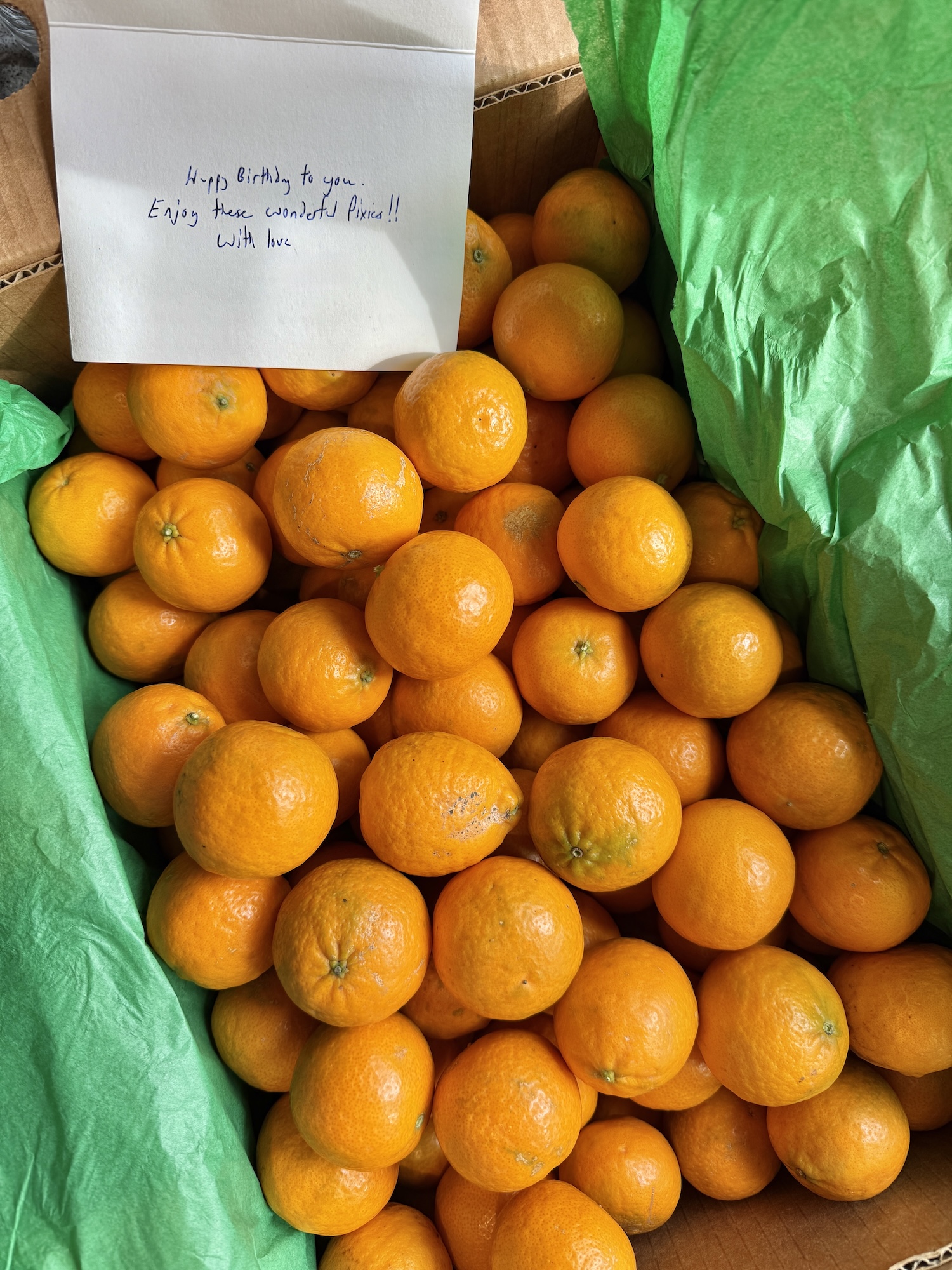 At Least I Know I Won’t Get Scurvy