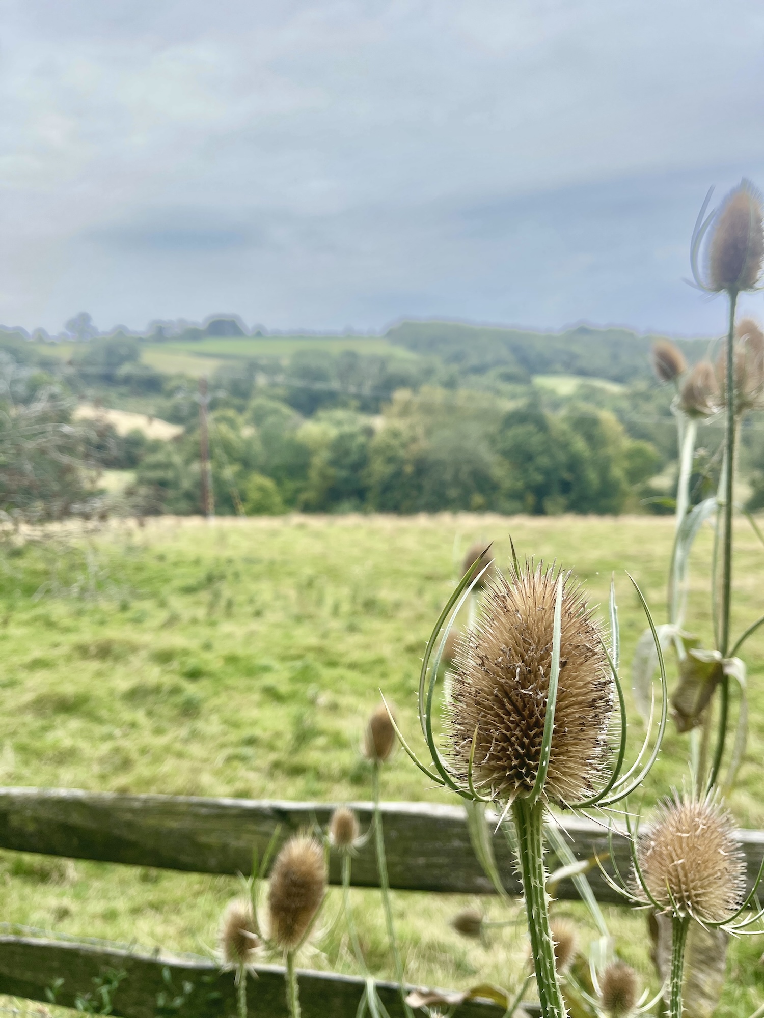 My Goals For 2025 Week 10 of 52