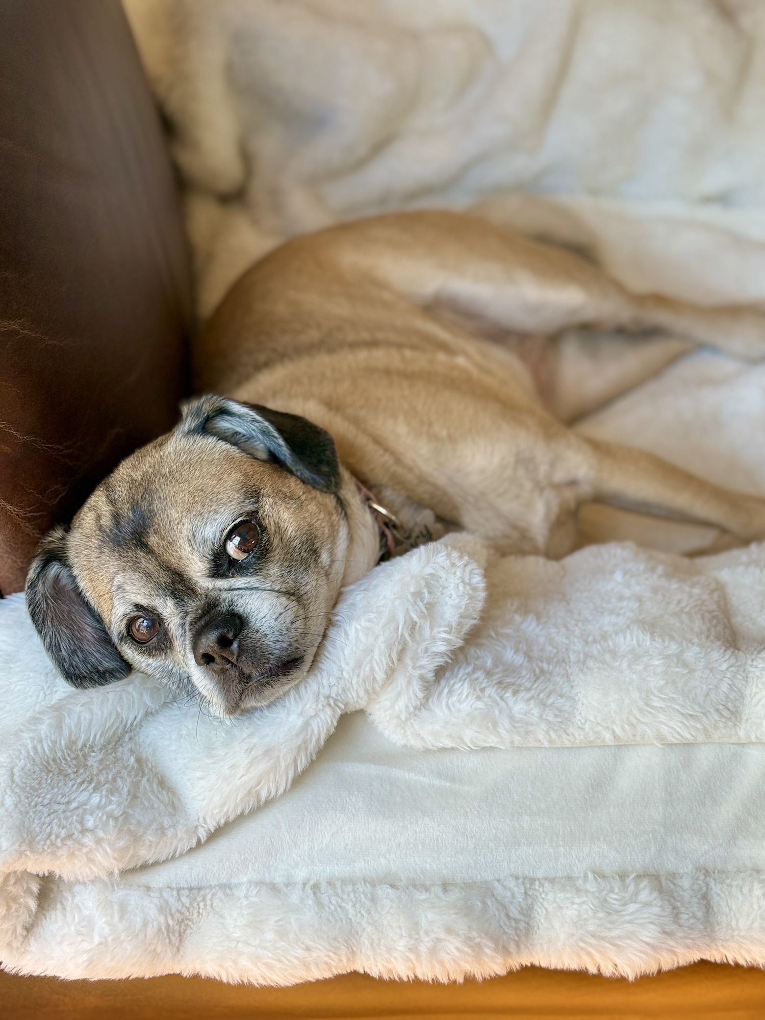 My Goals For 2025 Week 17 of 52